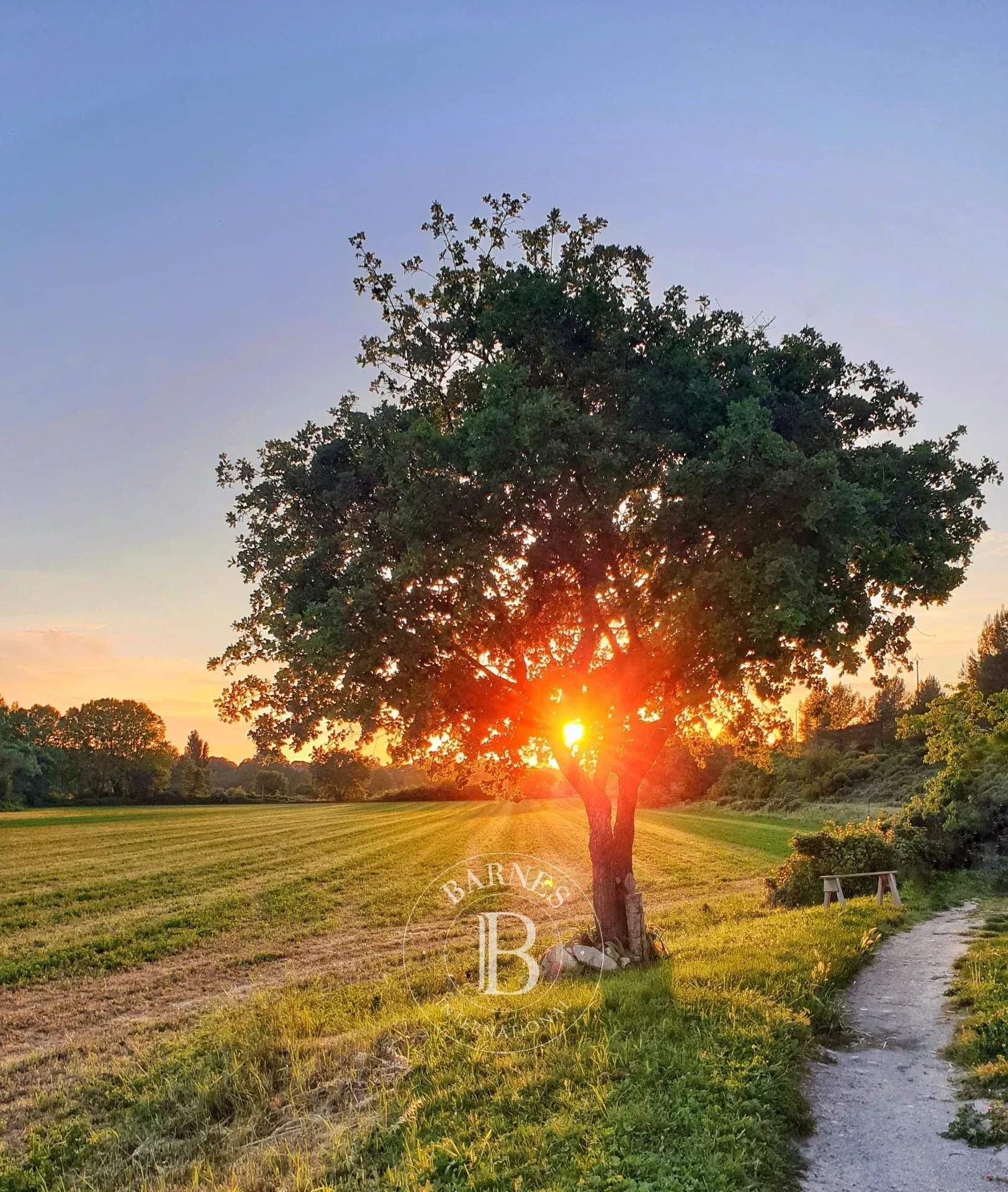 Aix-en-Provence  - Property 10 Bedrooms - picture 8