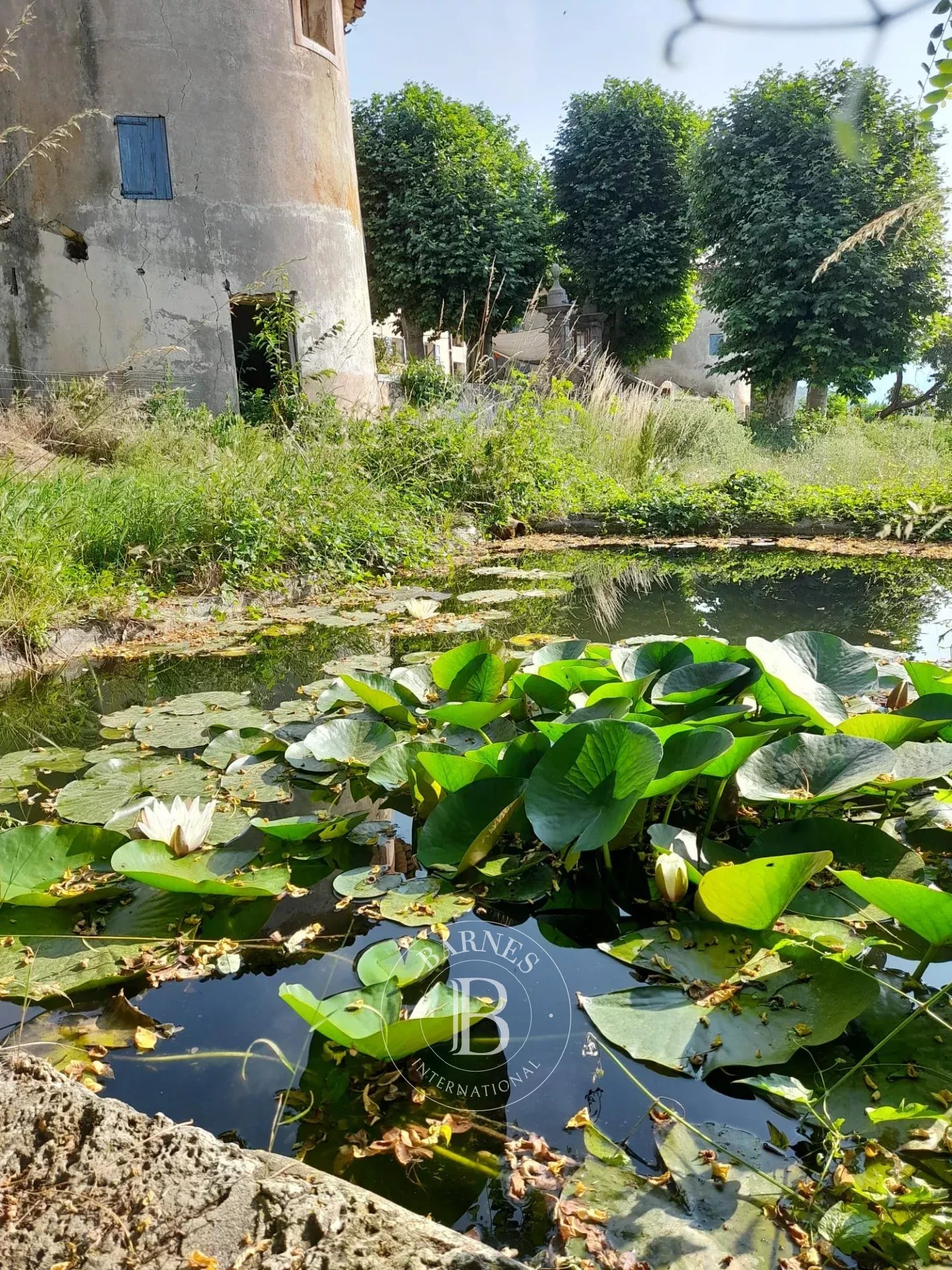 Digne-les-Bains  - Property 6 Bedrooms - picture 19