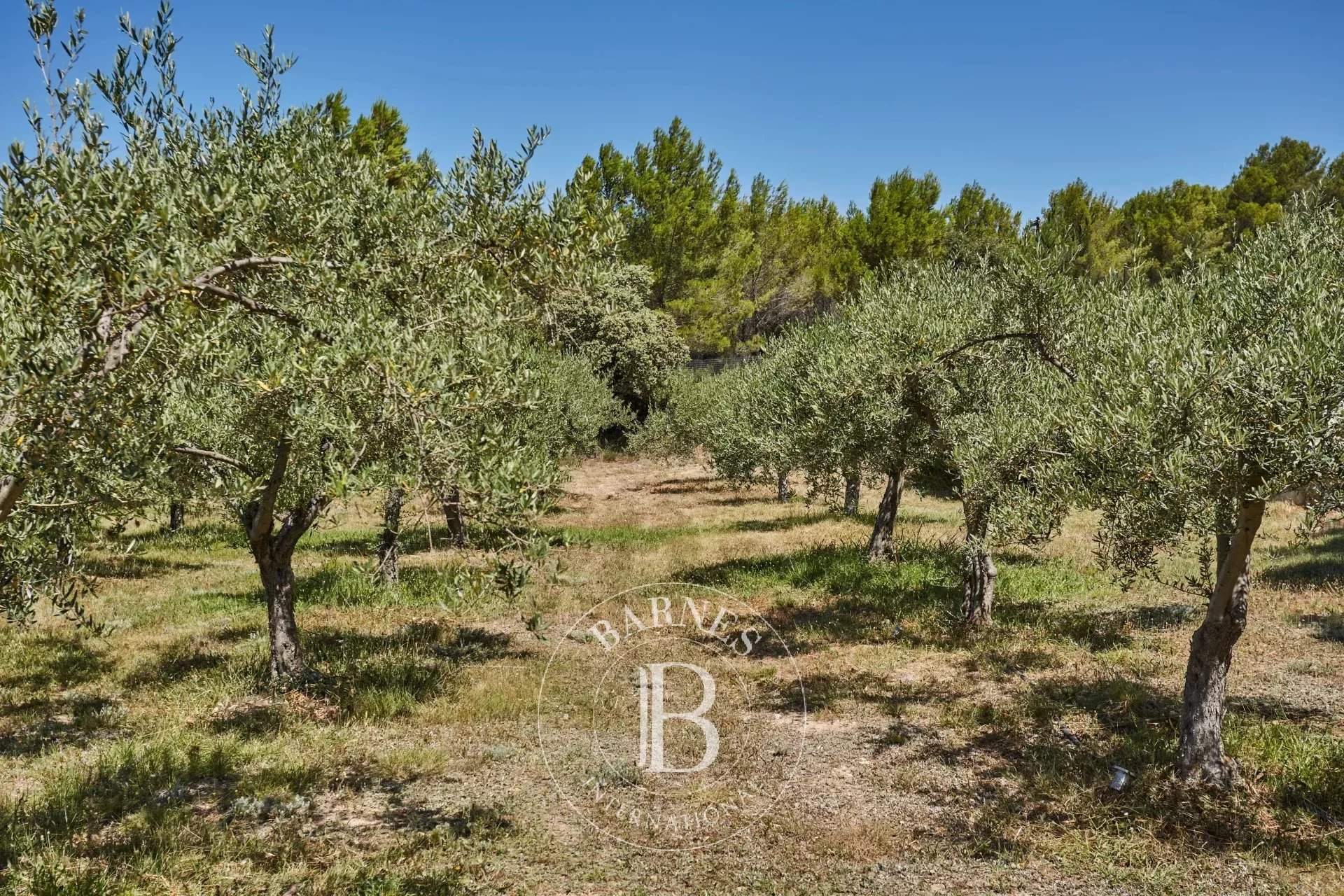 Aix-en-Provence  - Propriété 9 Pi&egrave;ces 6 Chambres - picture 12