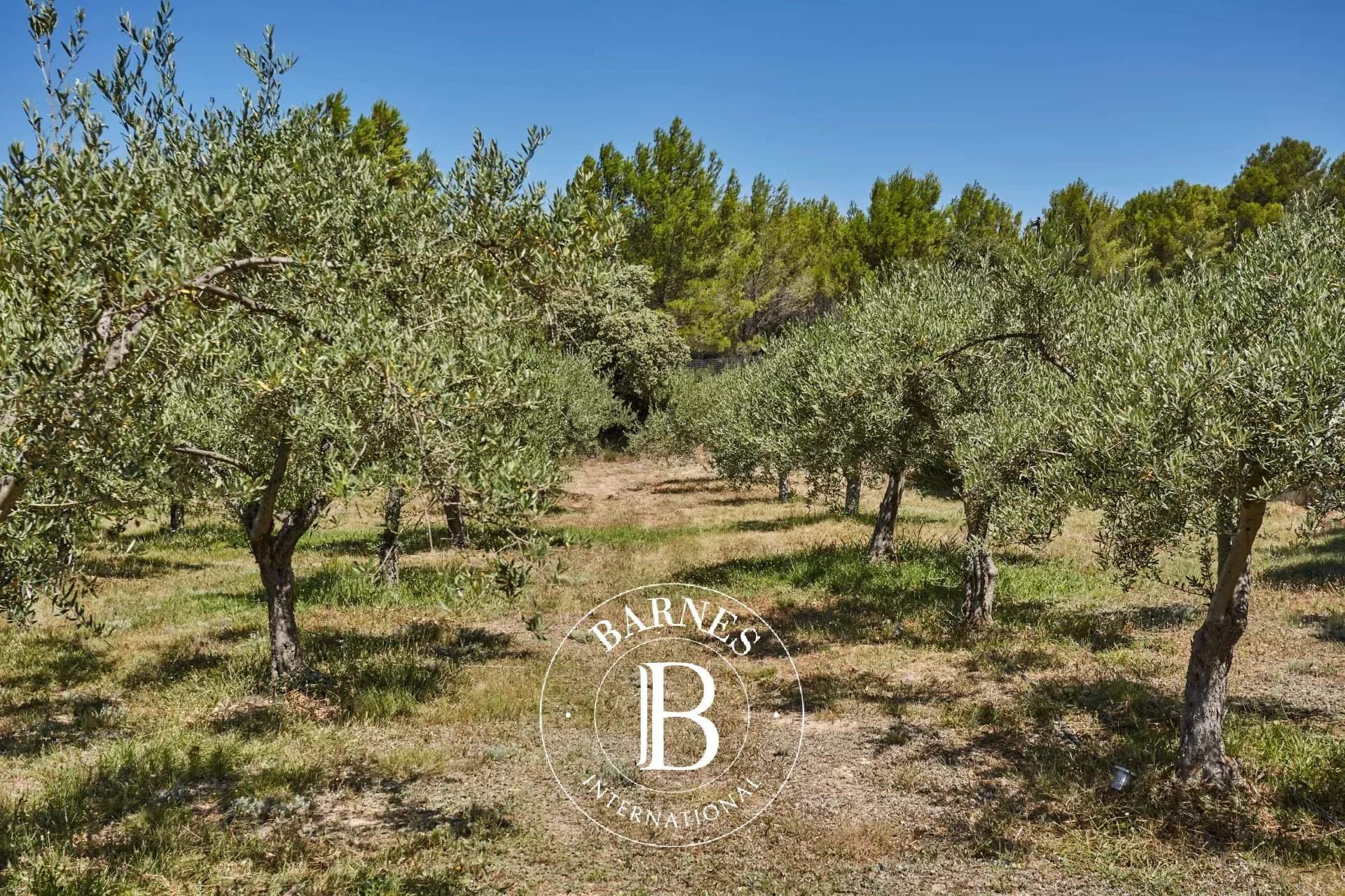 Aix-en-Provence  - Property 6 Bedrooms - picture 12