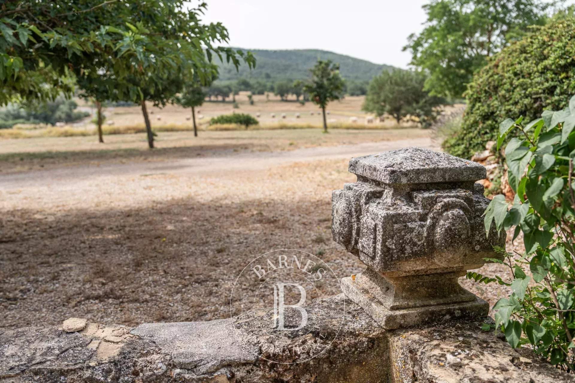 Aix-en-Provence  - Domaine de chasse 15 Pi&egrave;ces 9 Chambres - picture 19
