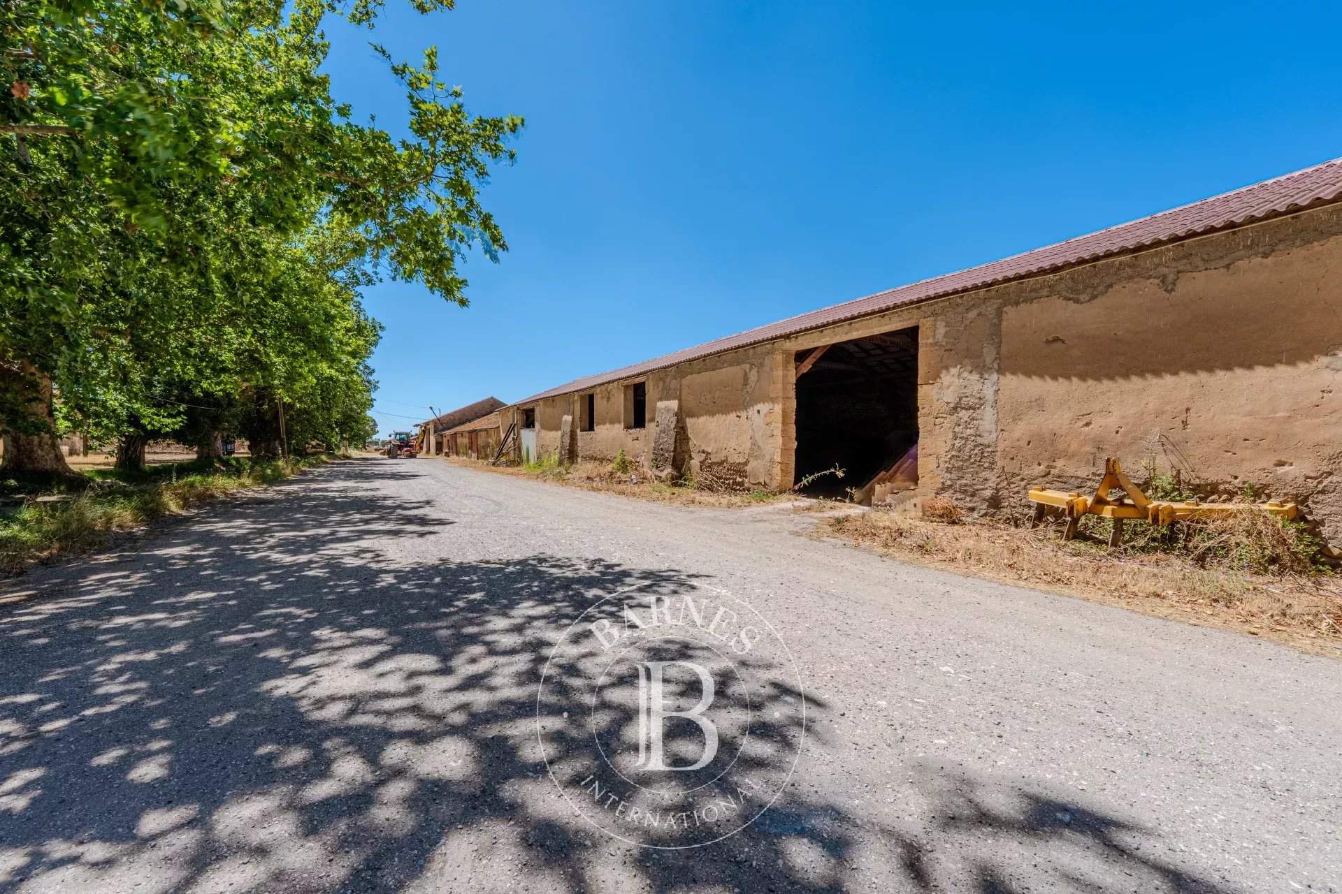 Salon-de-Provence  - Agricultural exploitation  - picture 9