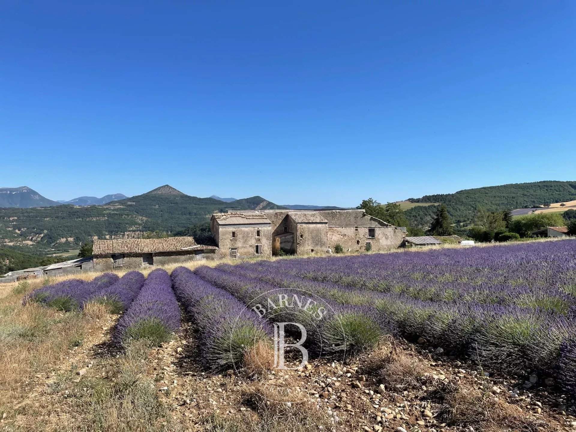 Digne-les-Bains  - Property 6 Bedrooms - picture 3