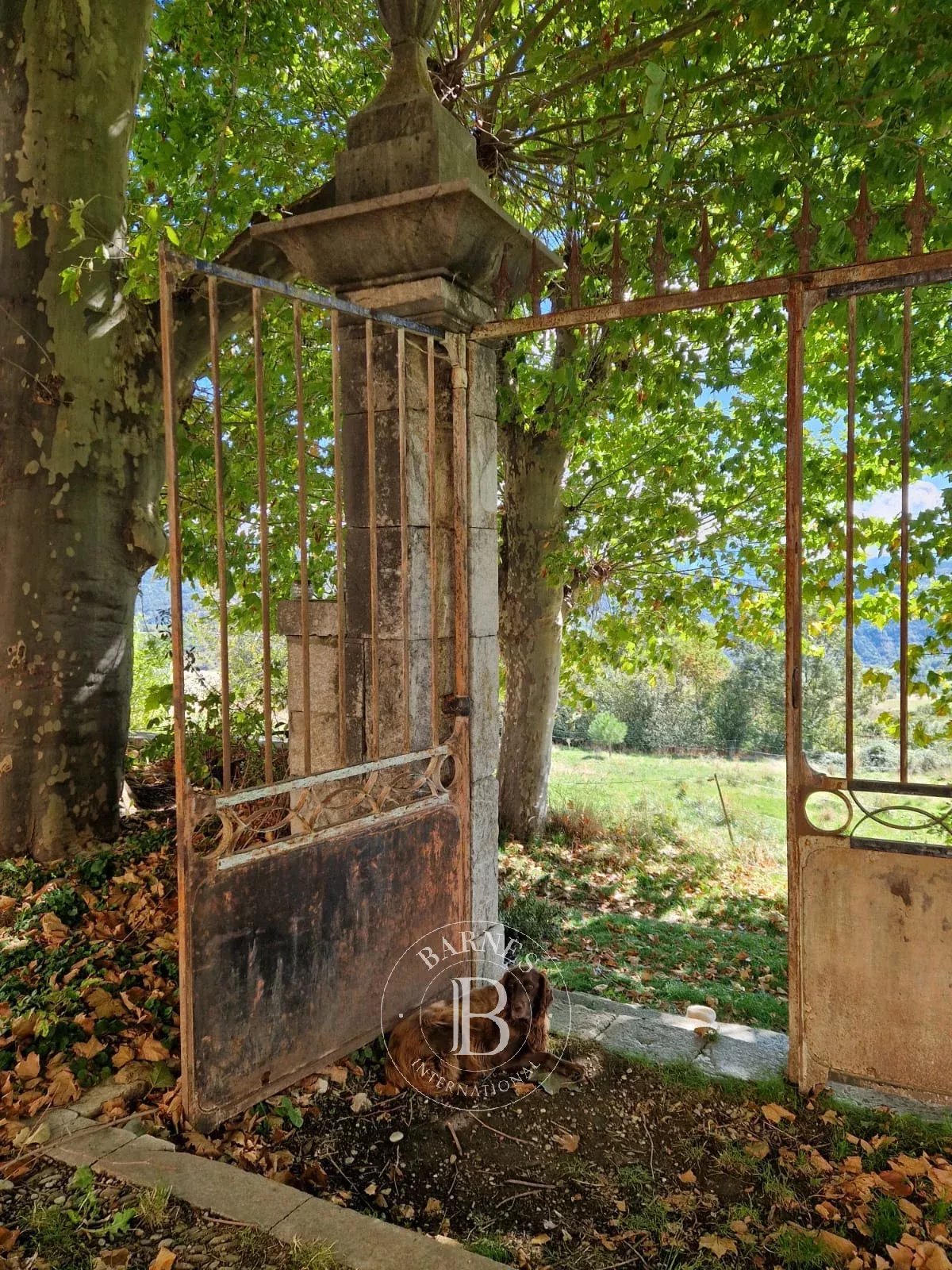 Digne-les-Bains  - Property 6 Bedrooms - picture 16