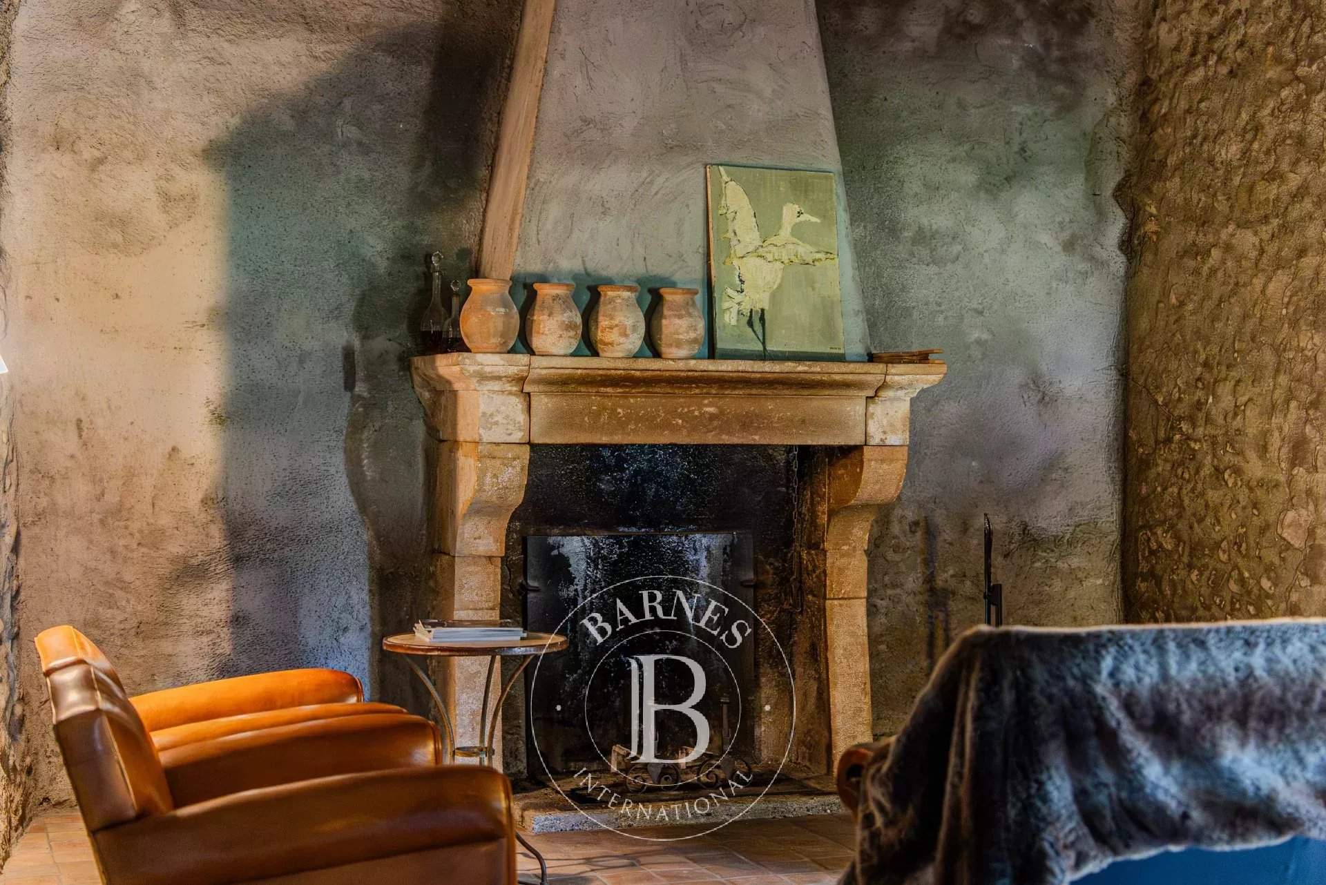 Digne-les-Bains  - Propriété 12 Pi&egrave;ces 3 Chambres - picture 13