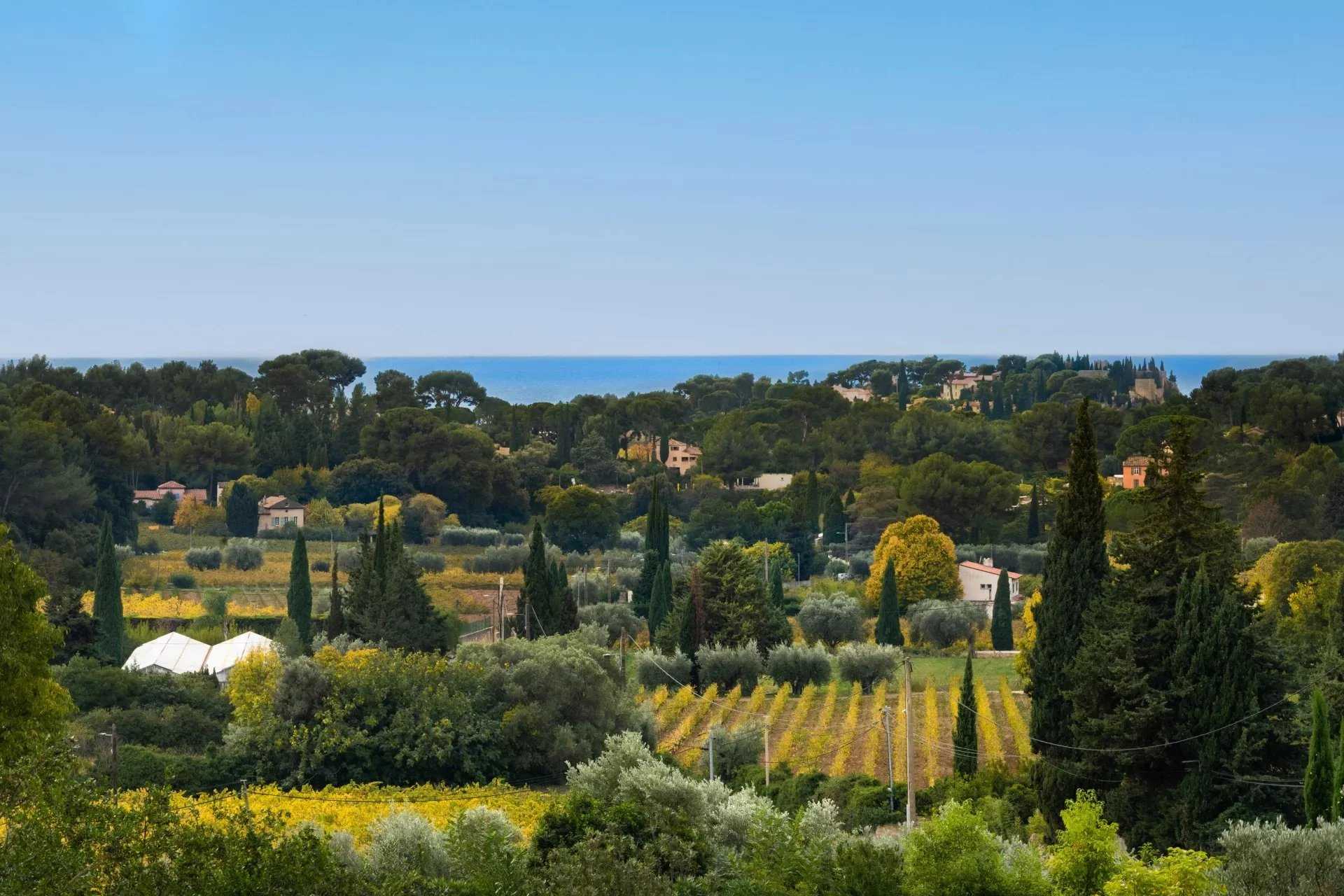 Maison Cassis