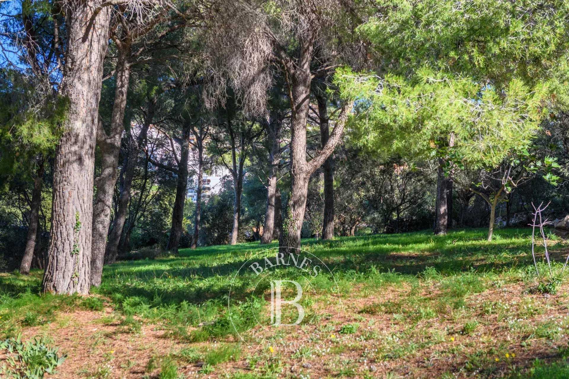 Maison Cassis  -  ref 86770846 (picture 3)