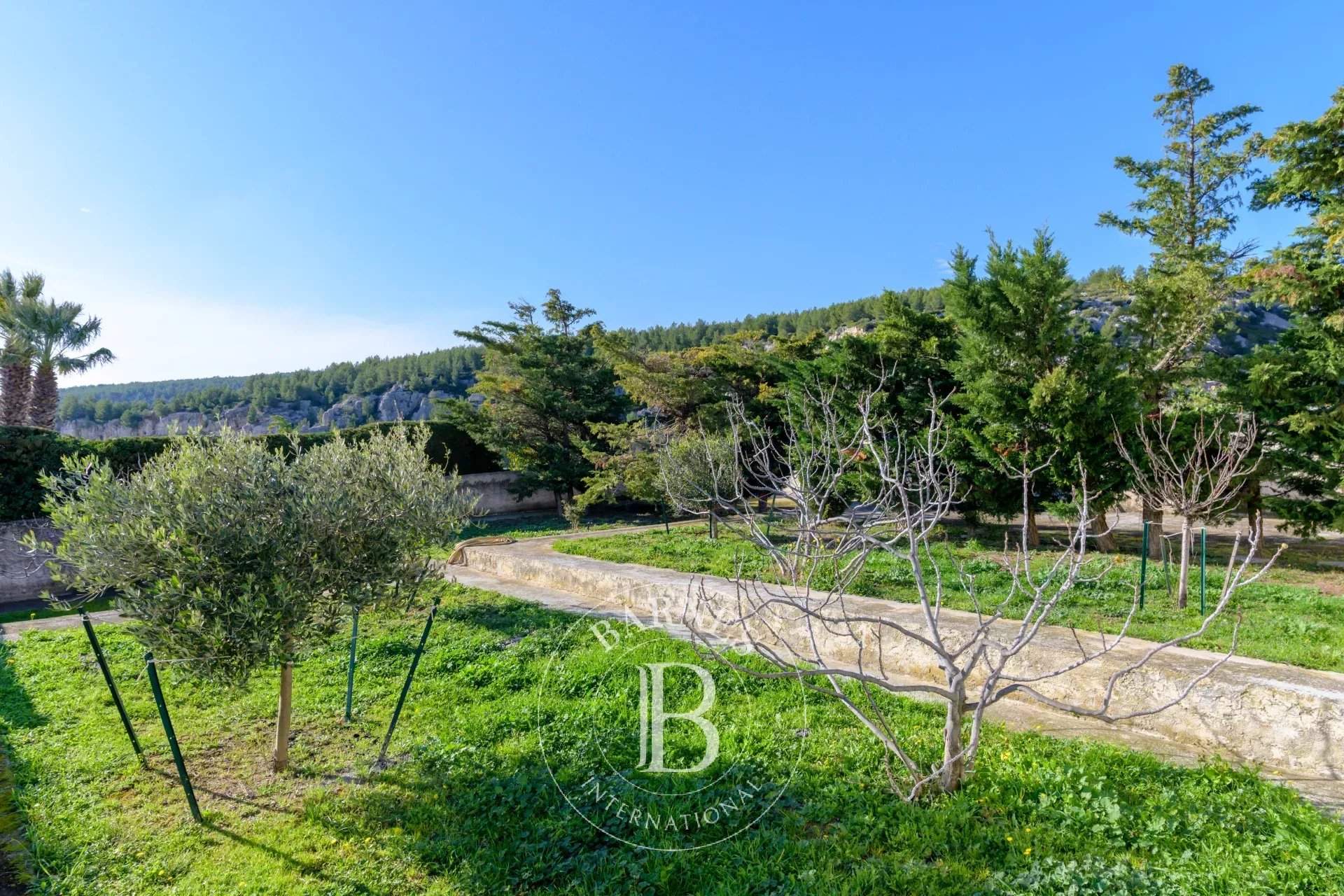 Cassis  - Villa 6 Bedrooms - picture 6