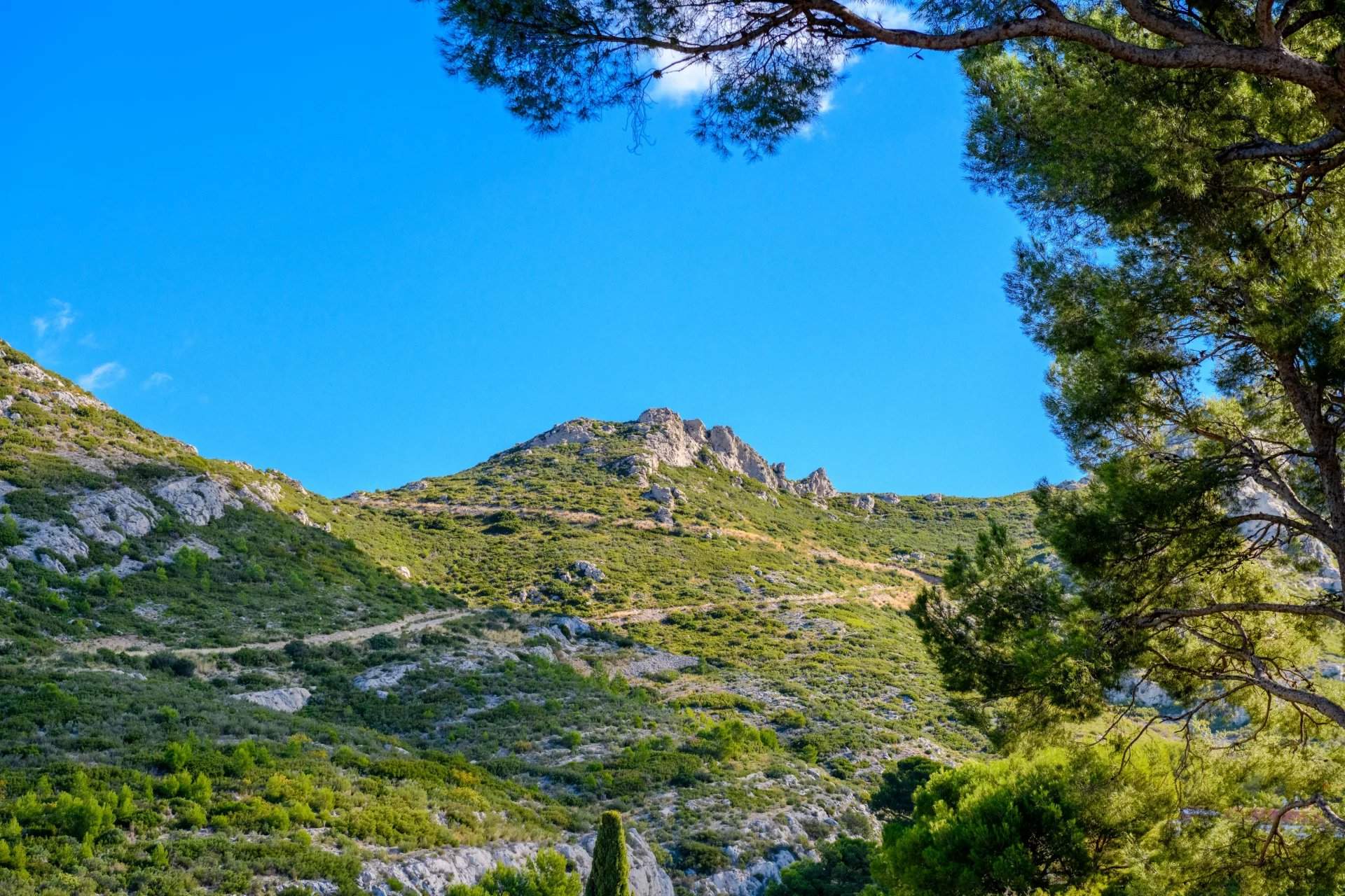 Marseille  - Maison  - picture 2