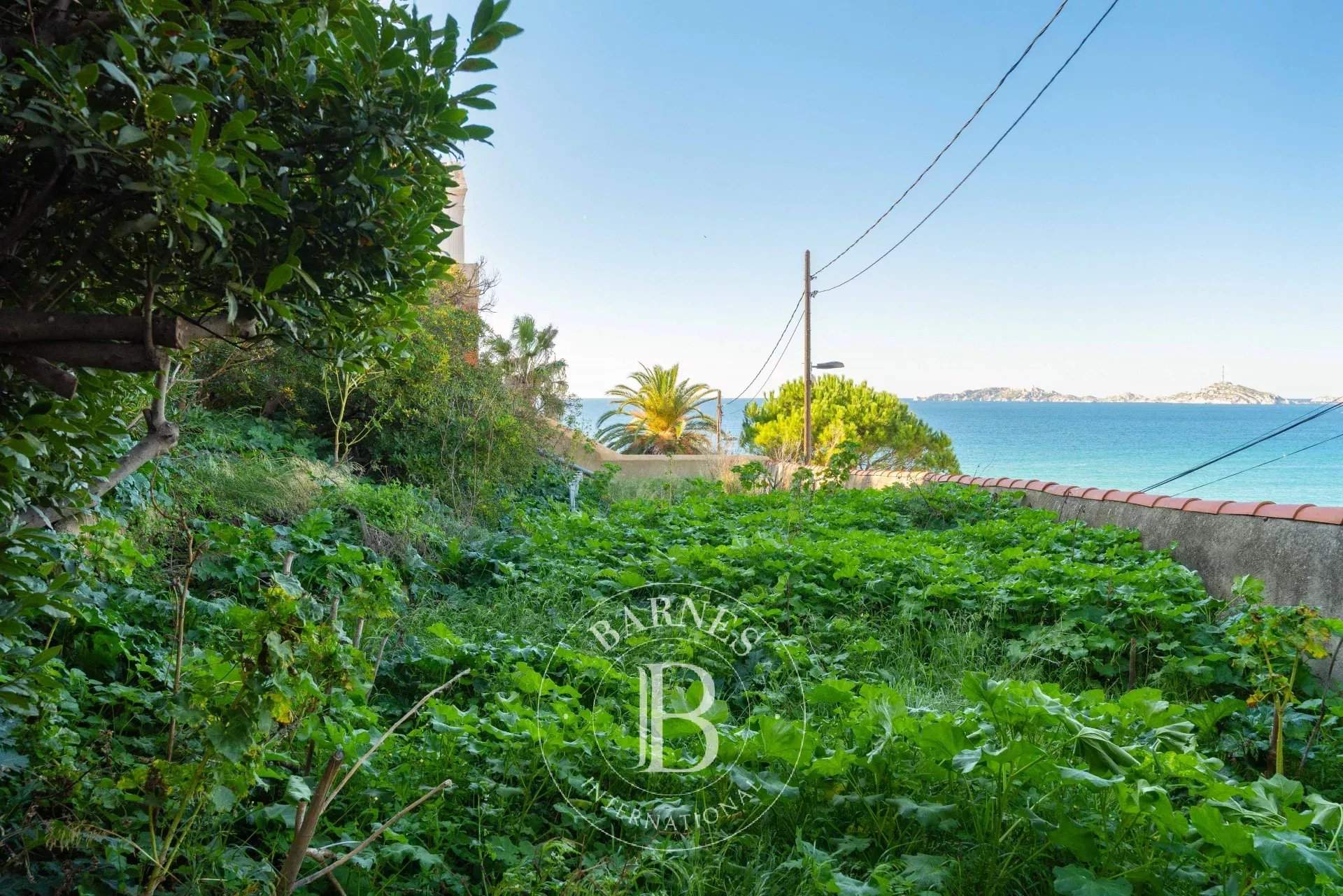 Marseille  - Bastide  - picture 13