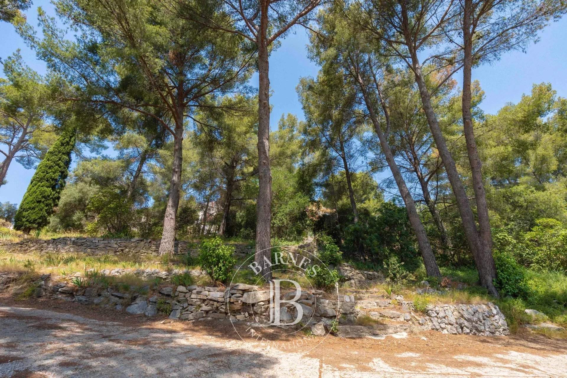 Cassis  - Bastide 7 Pi&egrave;ces 5 Chambres - picture 9