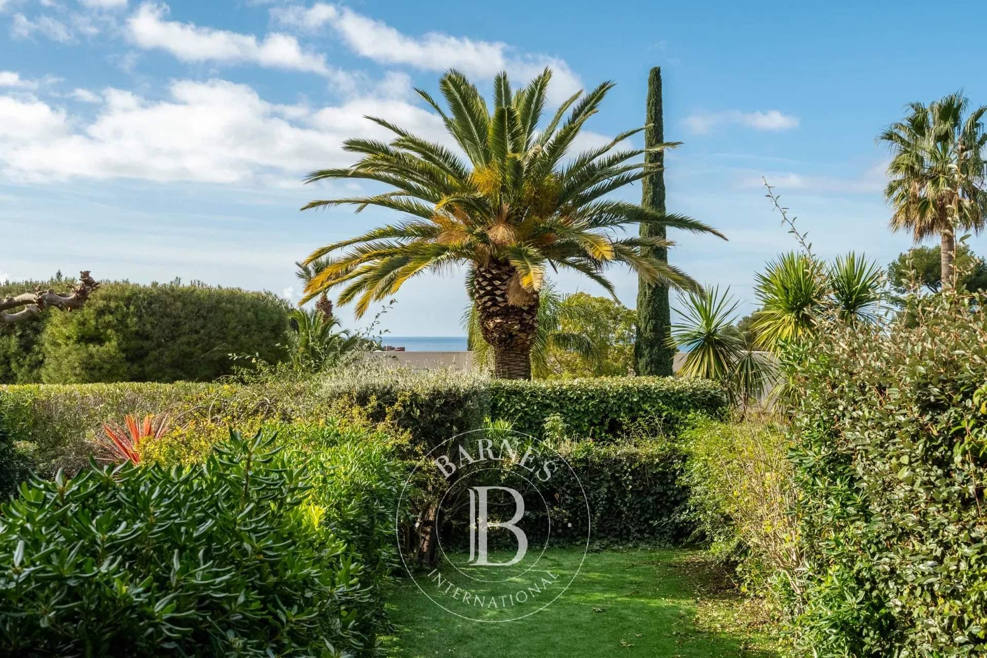 Cassis  - Apartment 1 Bedroom - picture 2