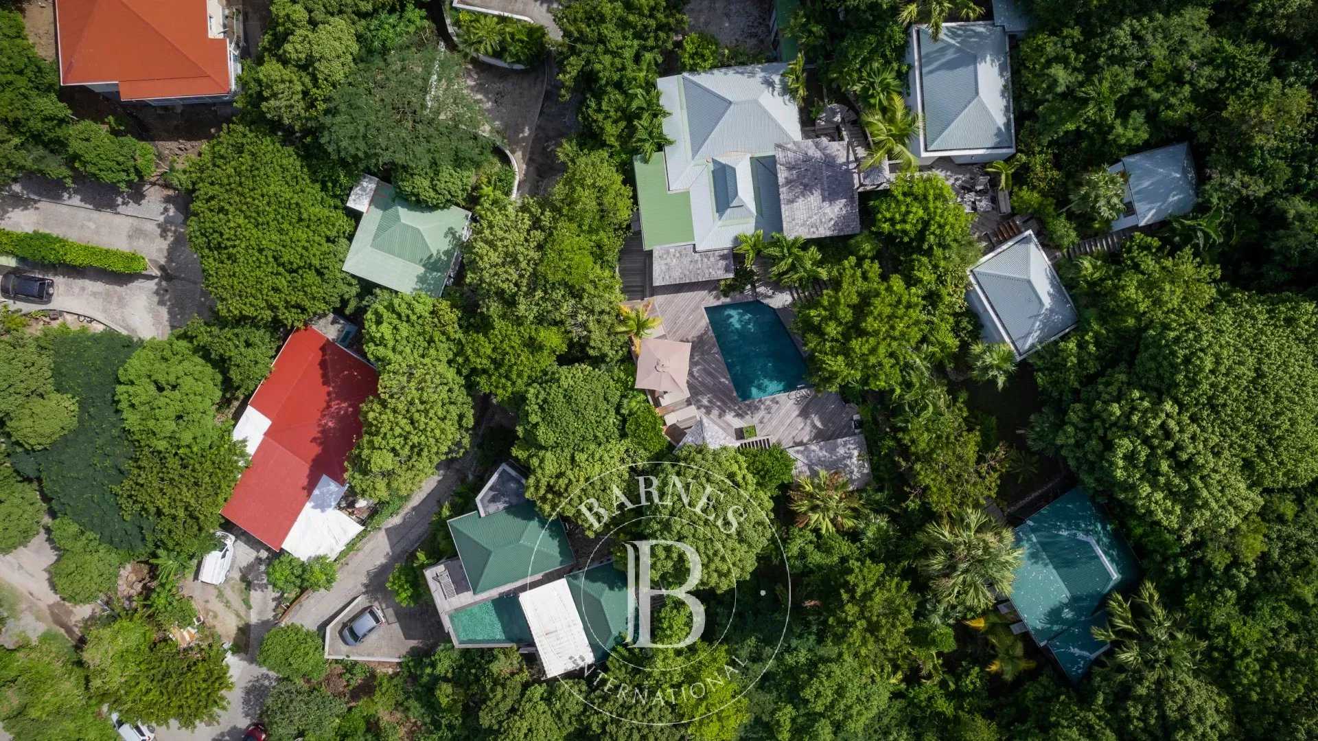 Villa Saint-Barthélemy  -  ref 83567625 (picture 3)