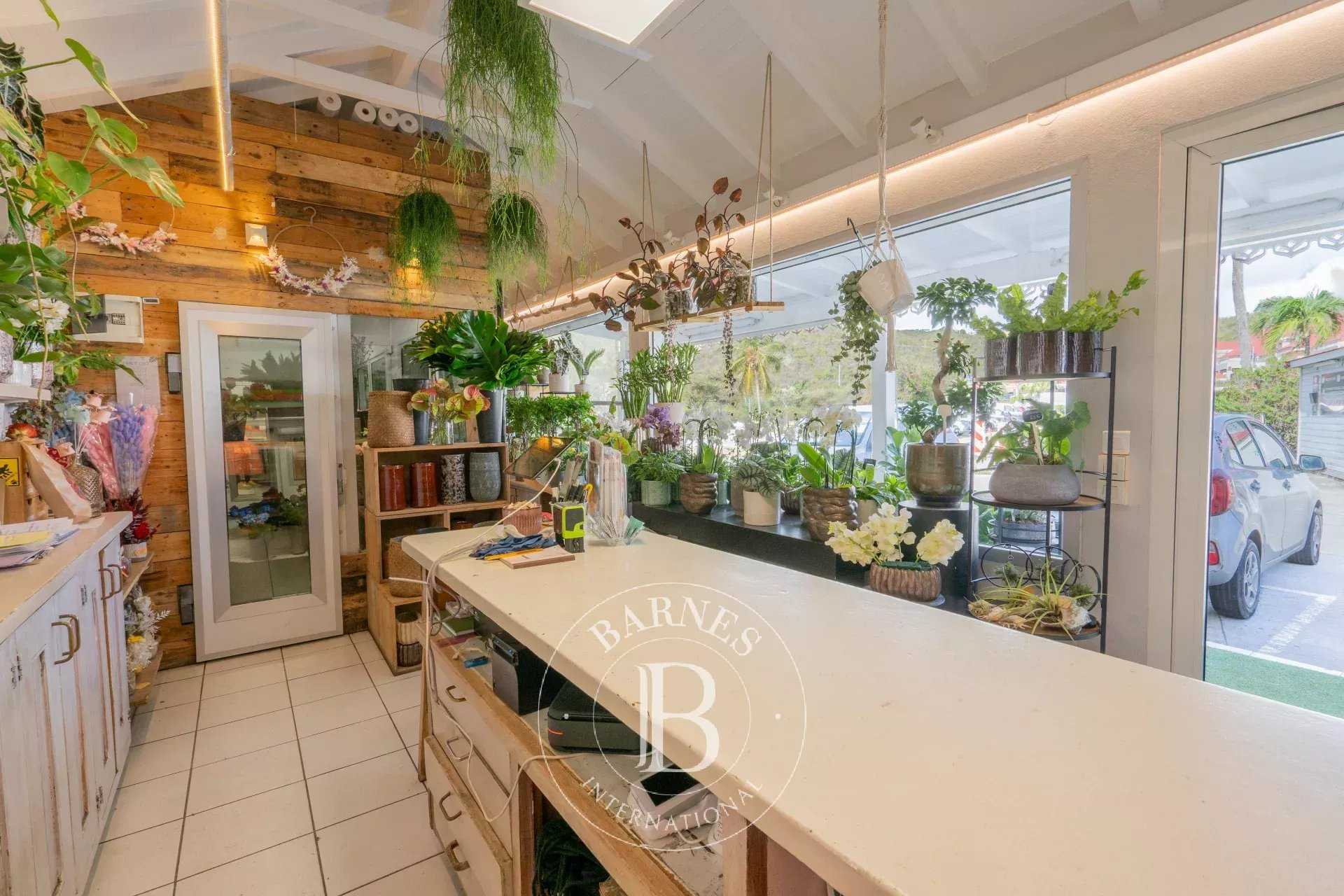 Commerce Saint-Barthélemy  -  ref 86172600 (picture 1)