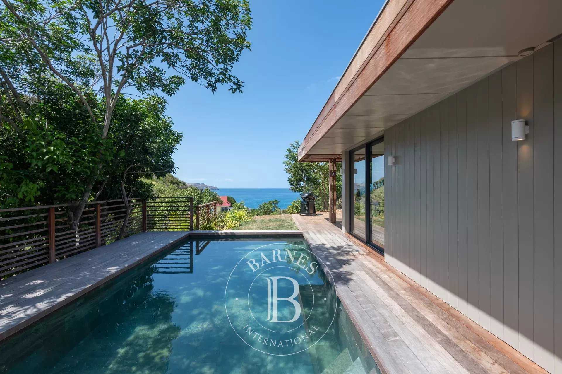 Villa Saint-Barthélemy  -  ref 85960644 (picture 1)