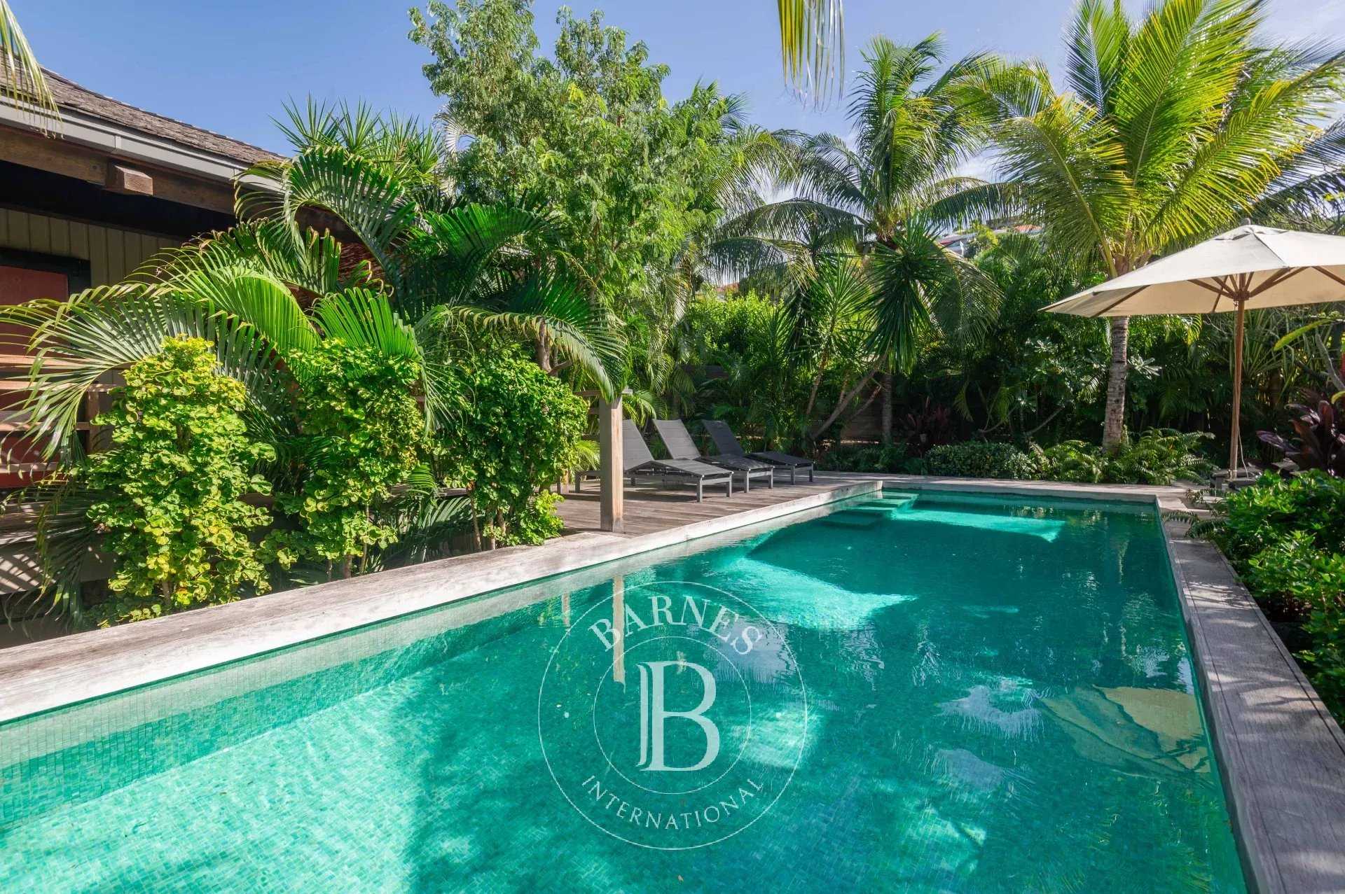 Villa Saint-Barthélemy  -  ref 86501299 (picture 2)
