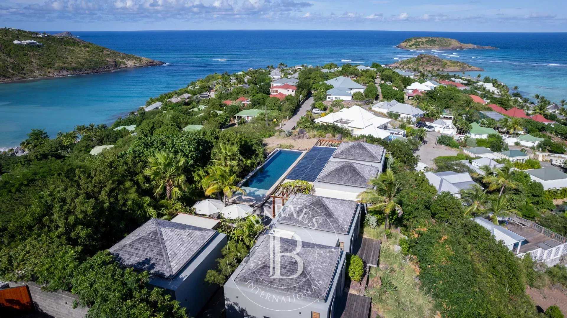 Villa Saint-Barthélemy  -  ref 85716086 (picture 2)