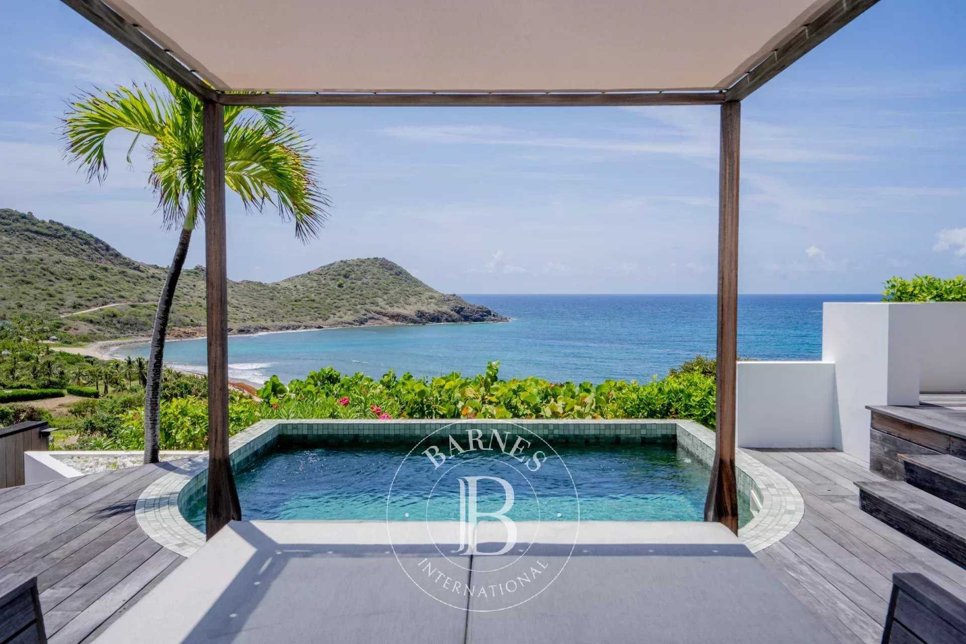 Villa Saint-Barthélemy  -  ref 85960628 (picture 1)