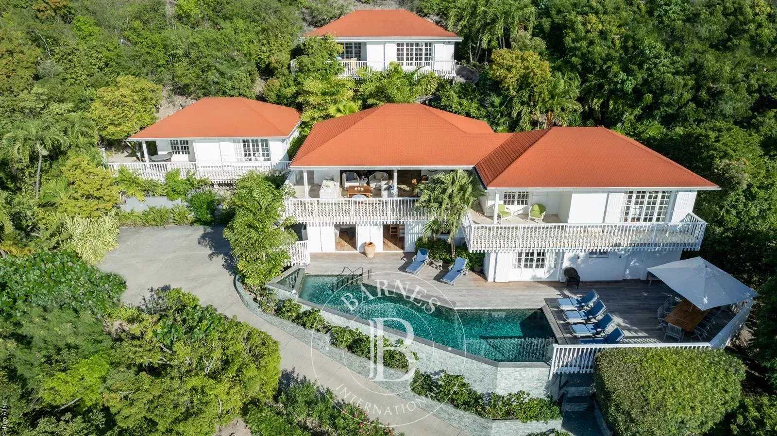 Villa Saint-Barthélemy  -  ref 85466579 (picture 1)