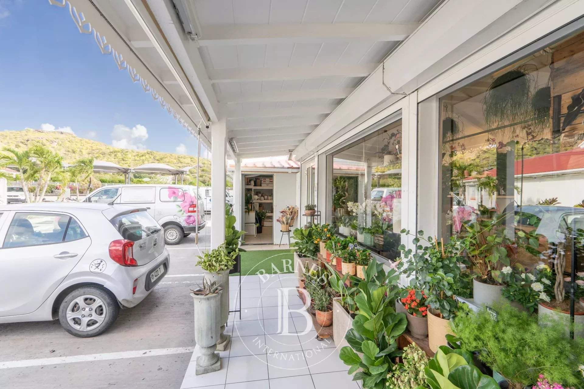 Saint-Barthélemy  - Commerce 2 Pièces - picture 8