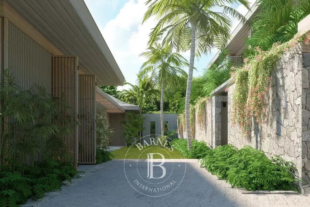 Saint-Barthélemy  - Building land  - picture 11