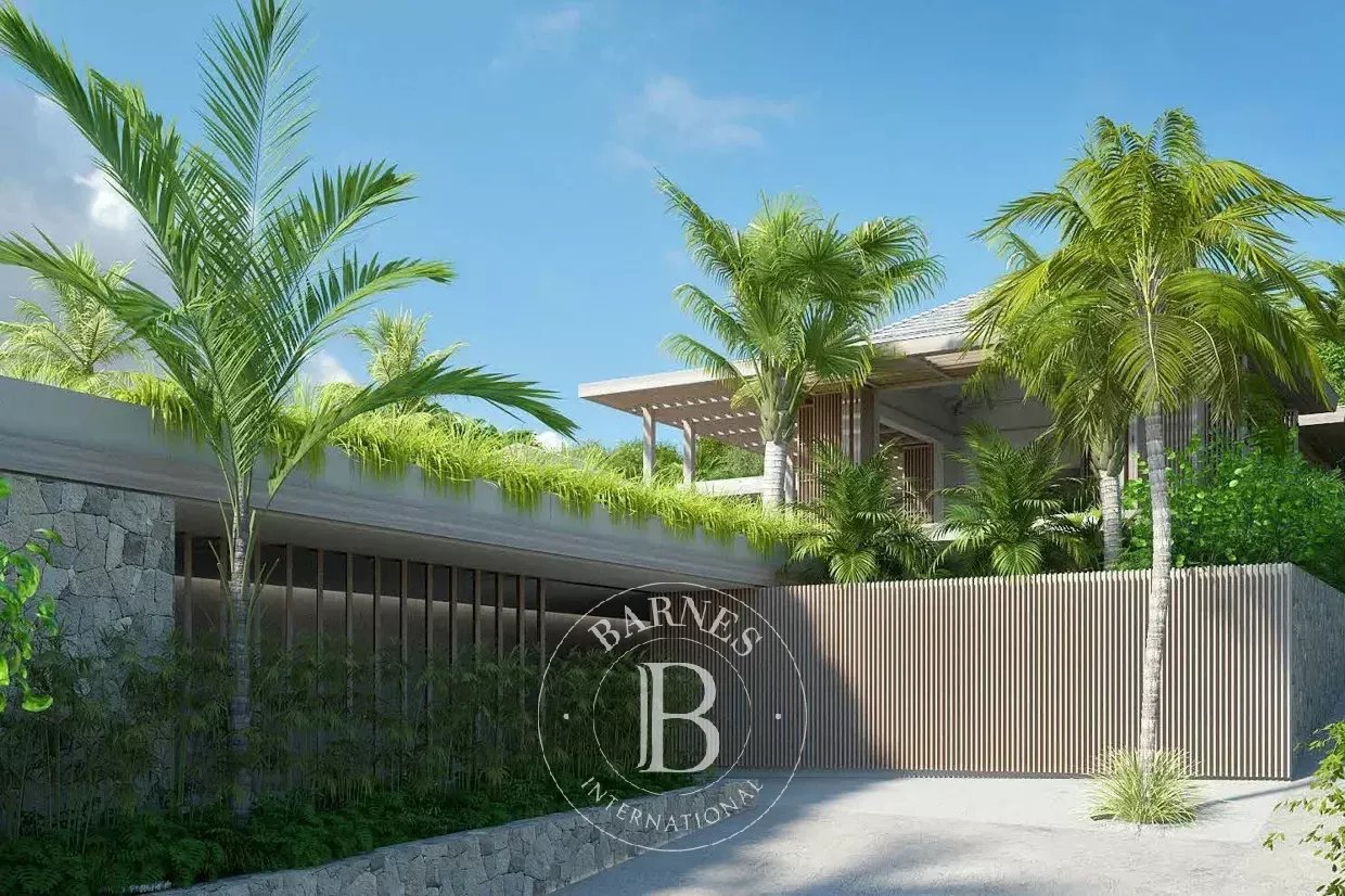 Saint-Barthélemy  - Building land  - picture 12