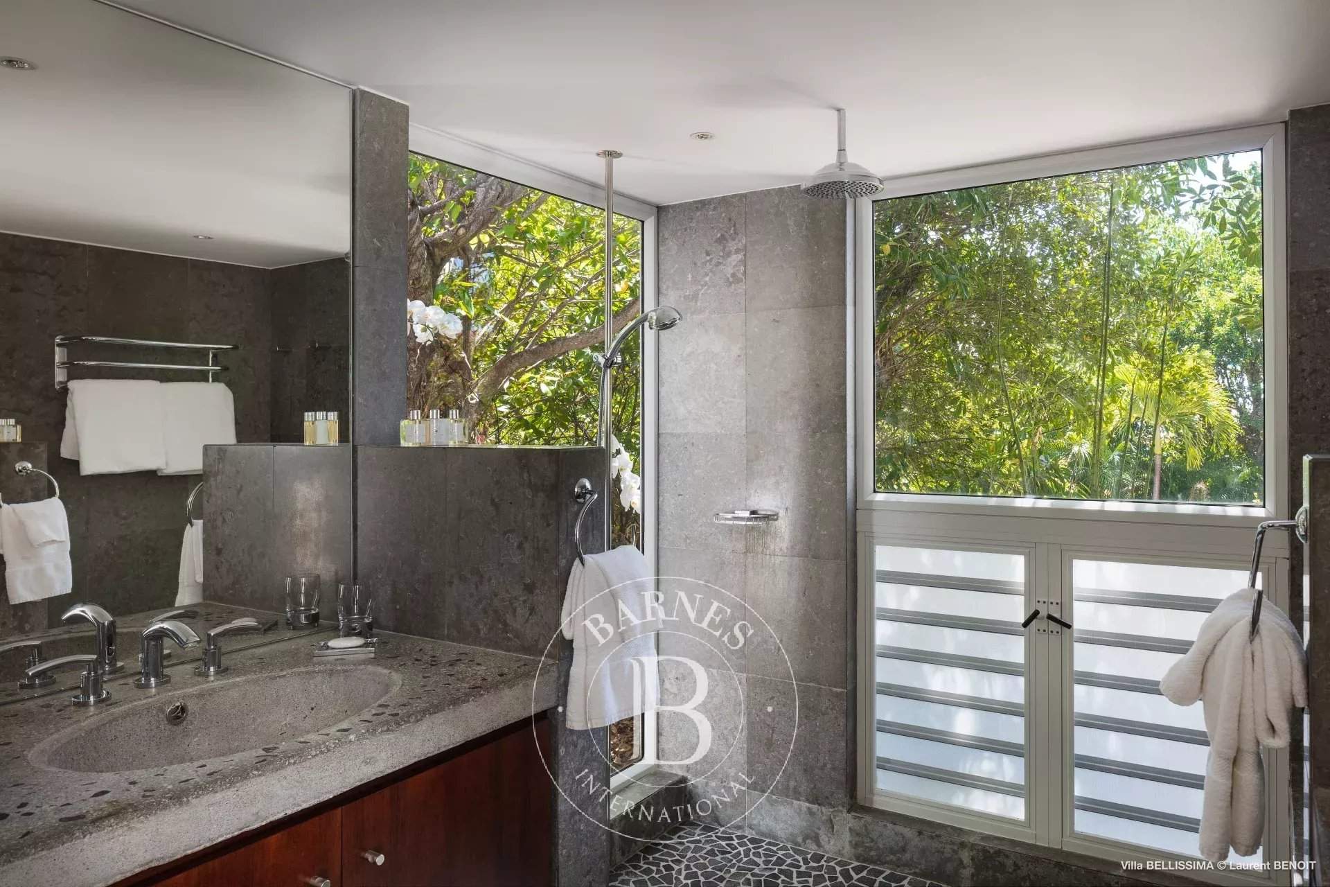 Beautiful 3 bedroom villa in Gouverneur picture 19