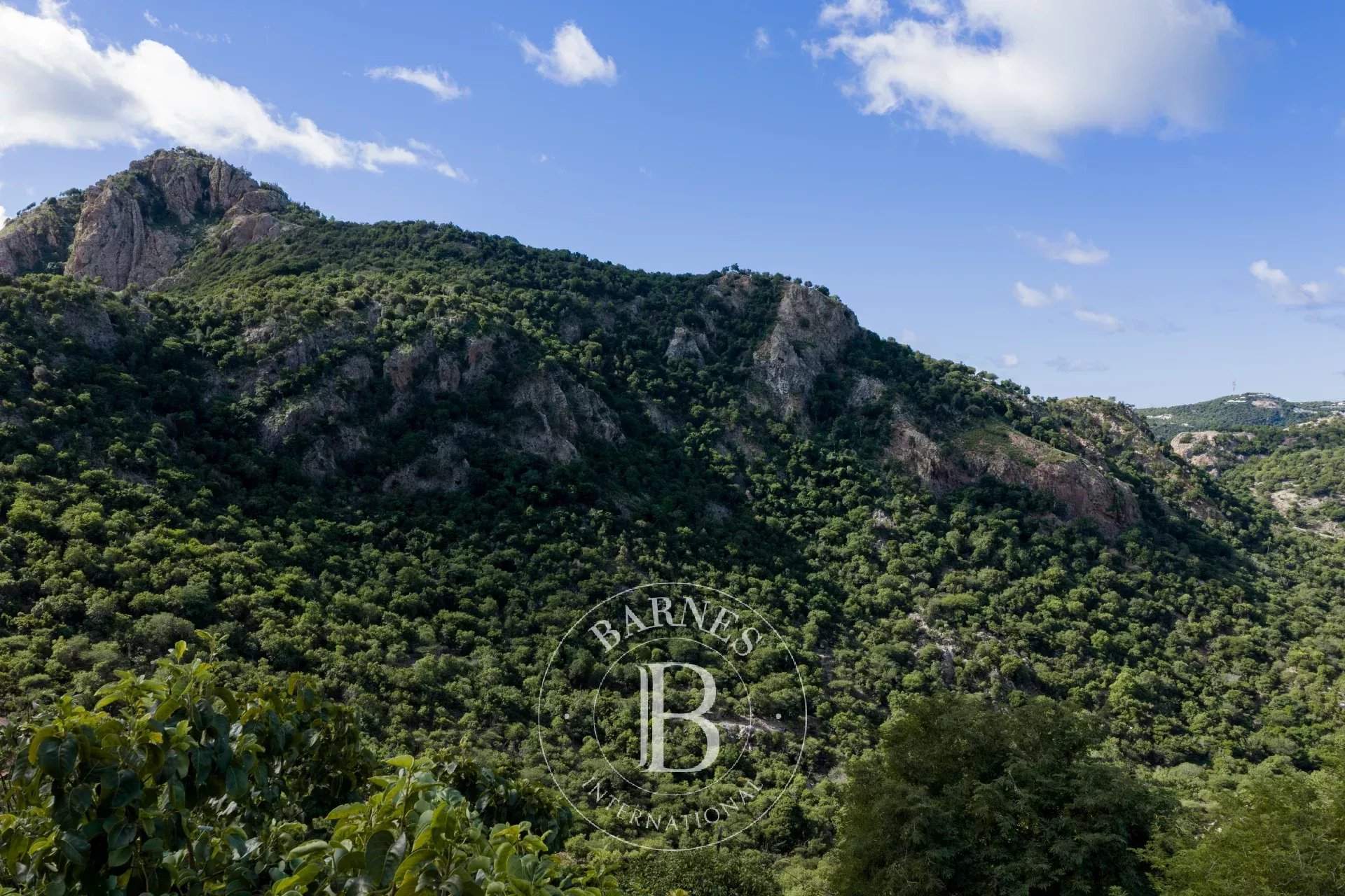 Saint-Barthélemy  - Terreno urbanizable  - picture 3