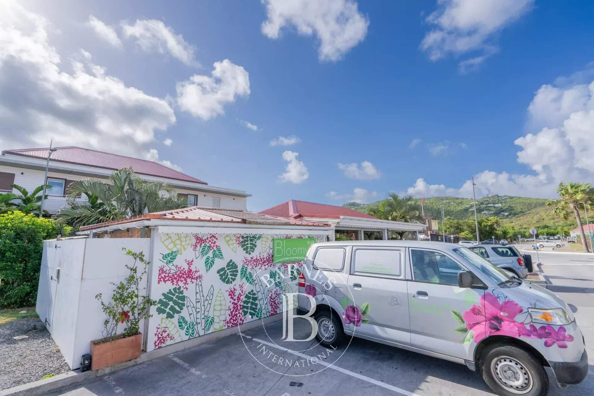 Saint-Barthélemy  - Commerce 2 Pièces - picture 7