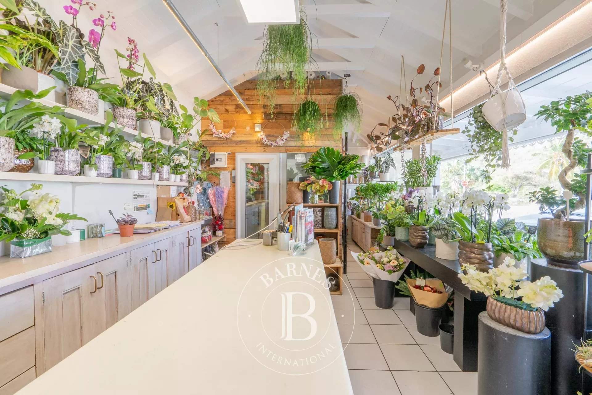 Saint-Barthélemy  - Commerce 2 Pièces - picture 2