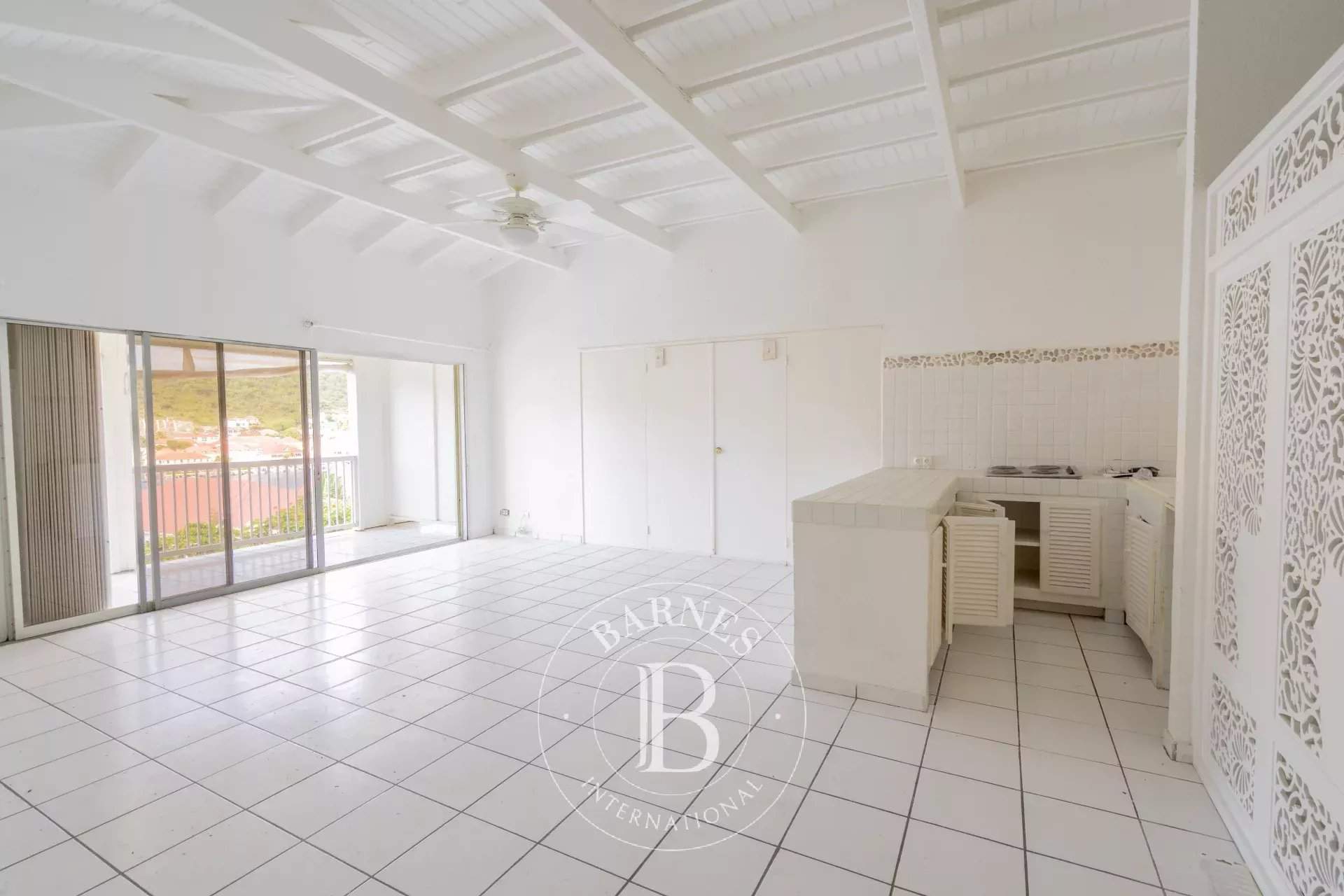 Saint-Barthélemy  - Apartment  - picture 5