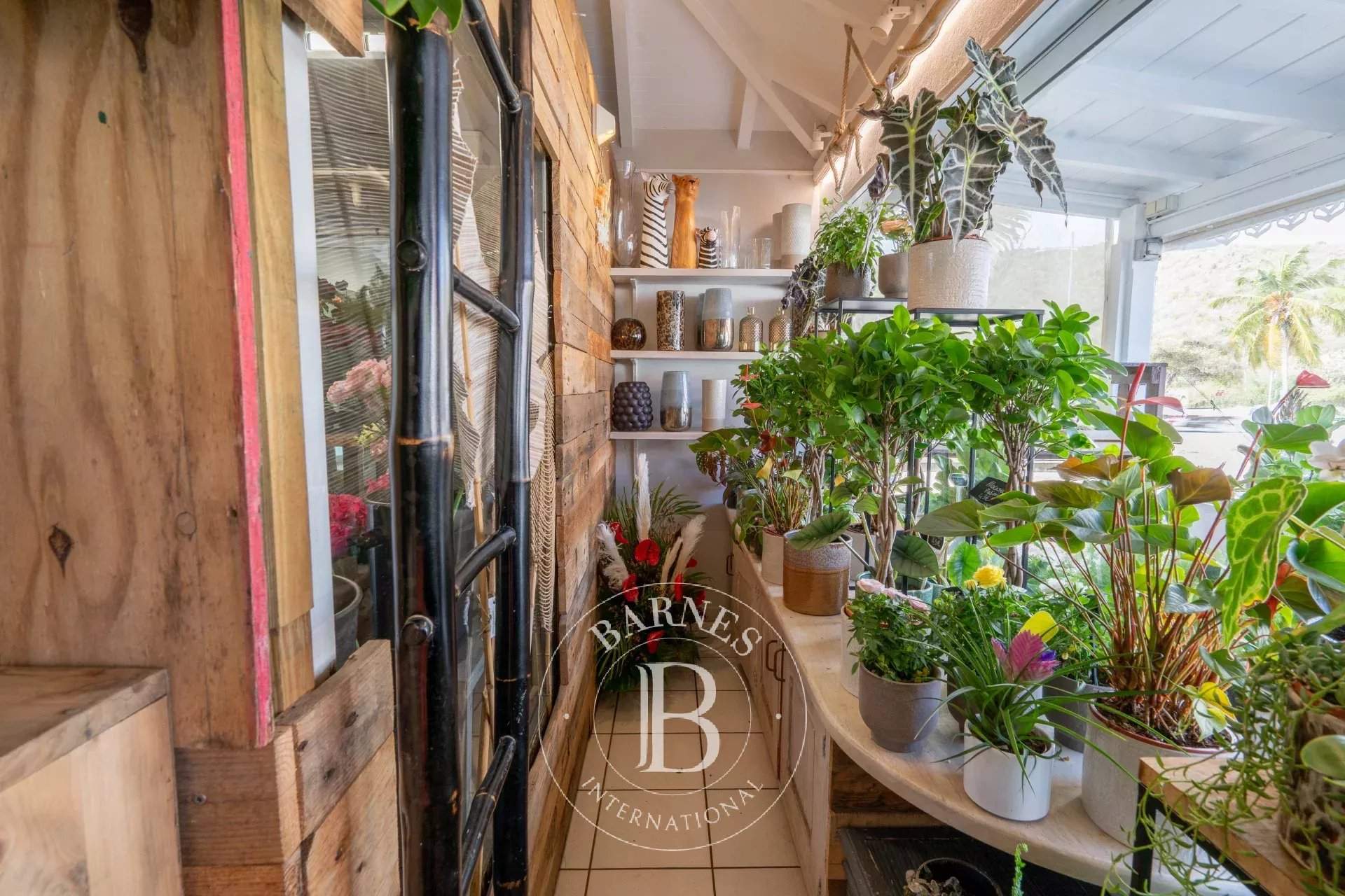 Saint-Barthélemy  - Commerce 2 Pièces - picture 4