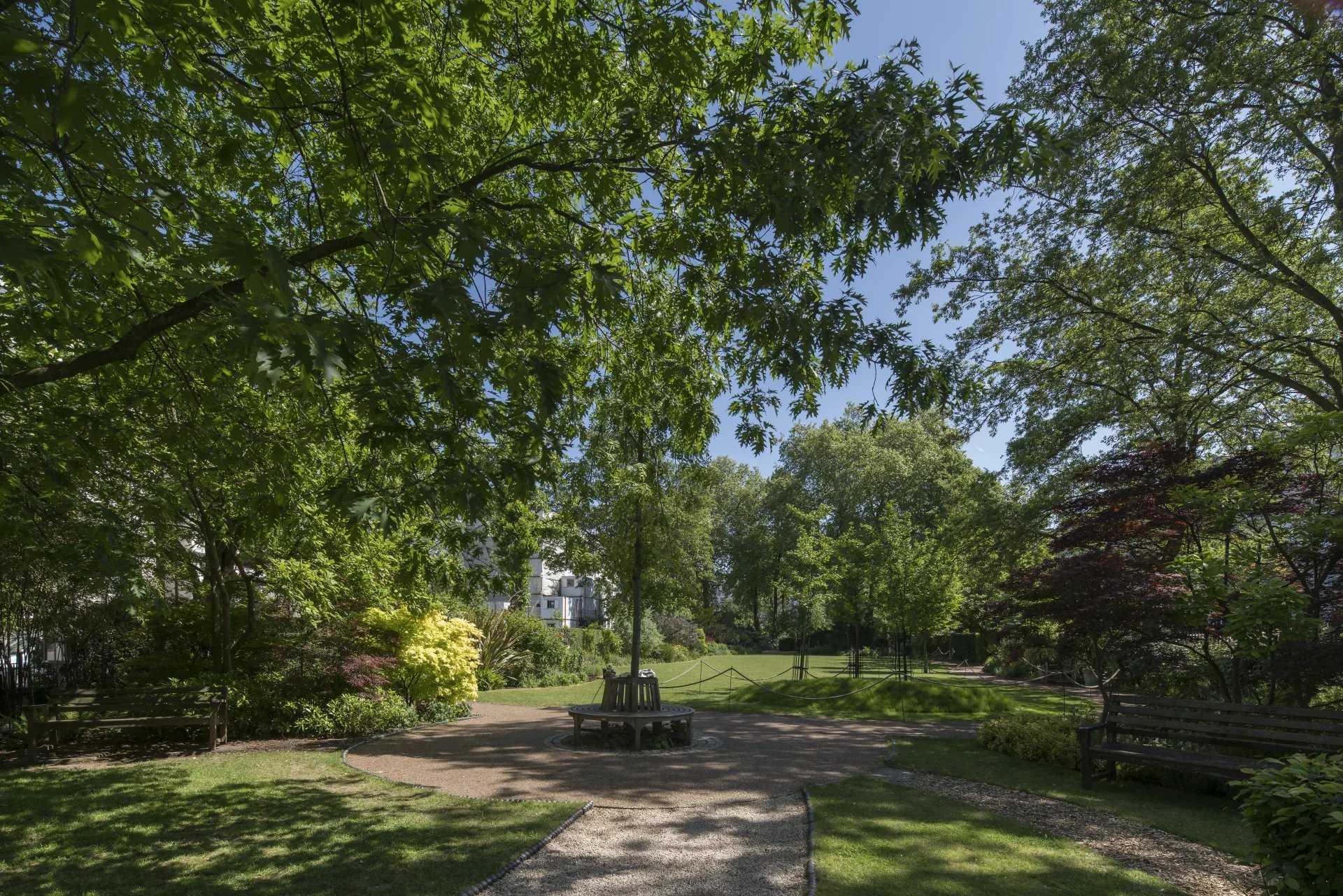 London  - Apartment 3 Bedrooms