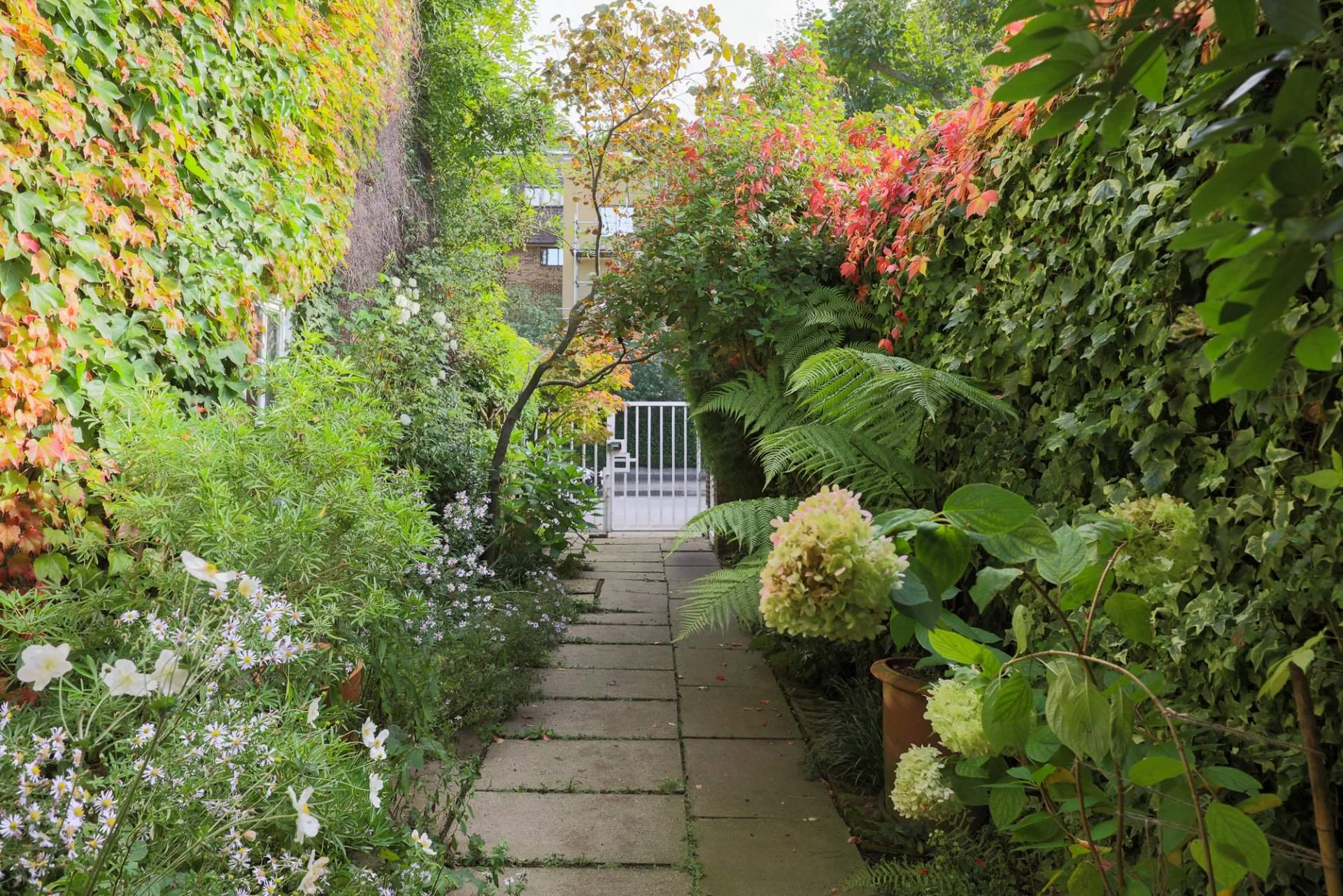 London  - House 3 Bedrooms - picture 13