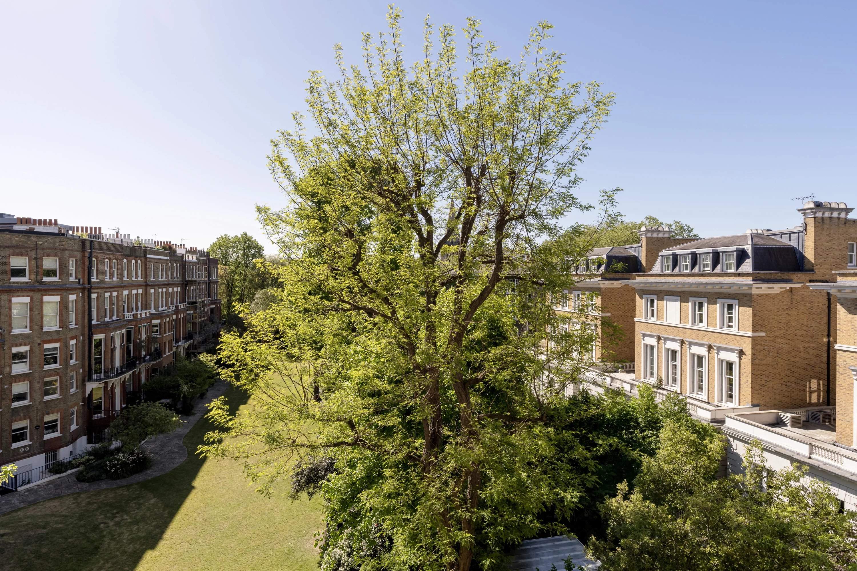 Old Brompton Road, Chelsea / South Kensington picture 11