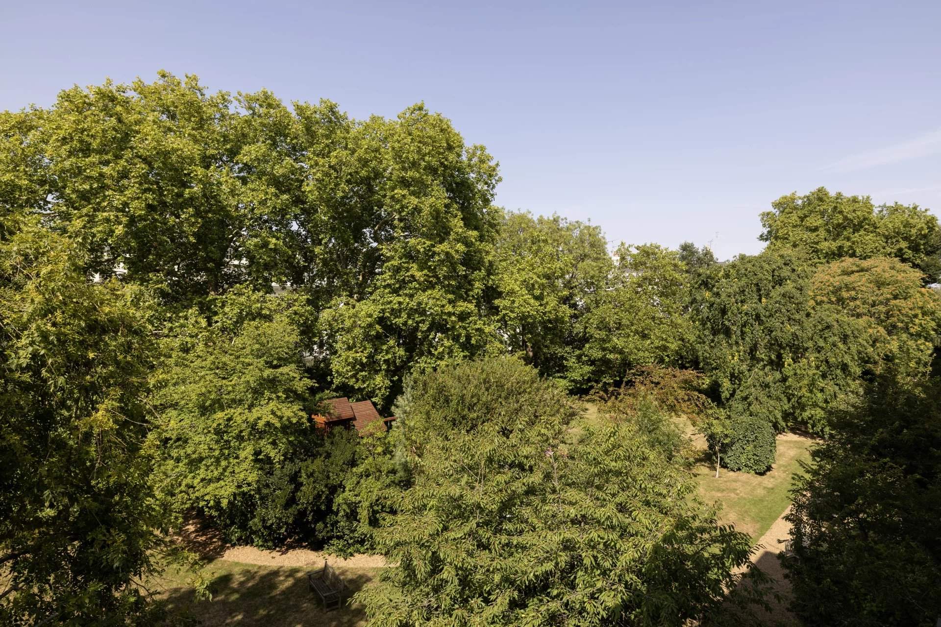 London  - Apartment 1 Bedroom - picture 11