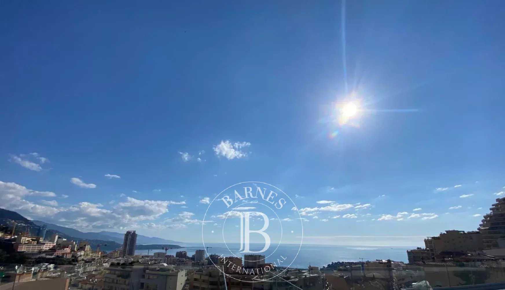 Beausoleil  - Apartment 3 Bedrooms