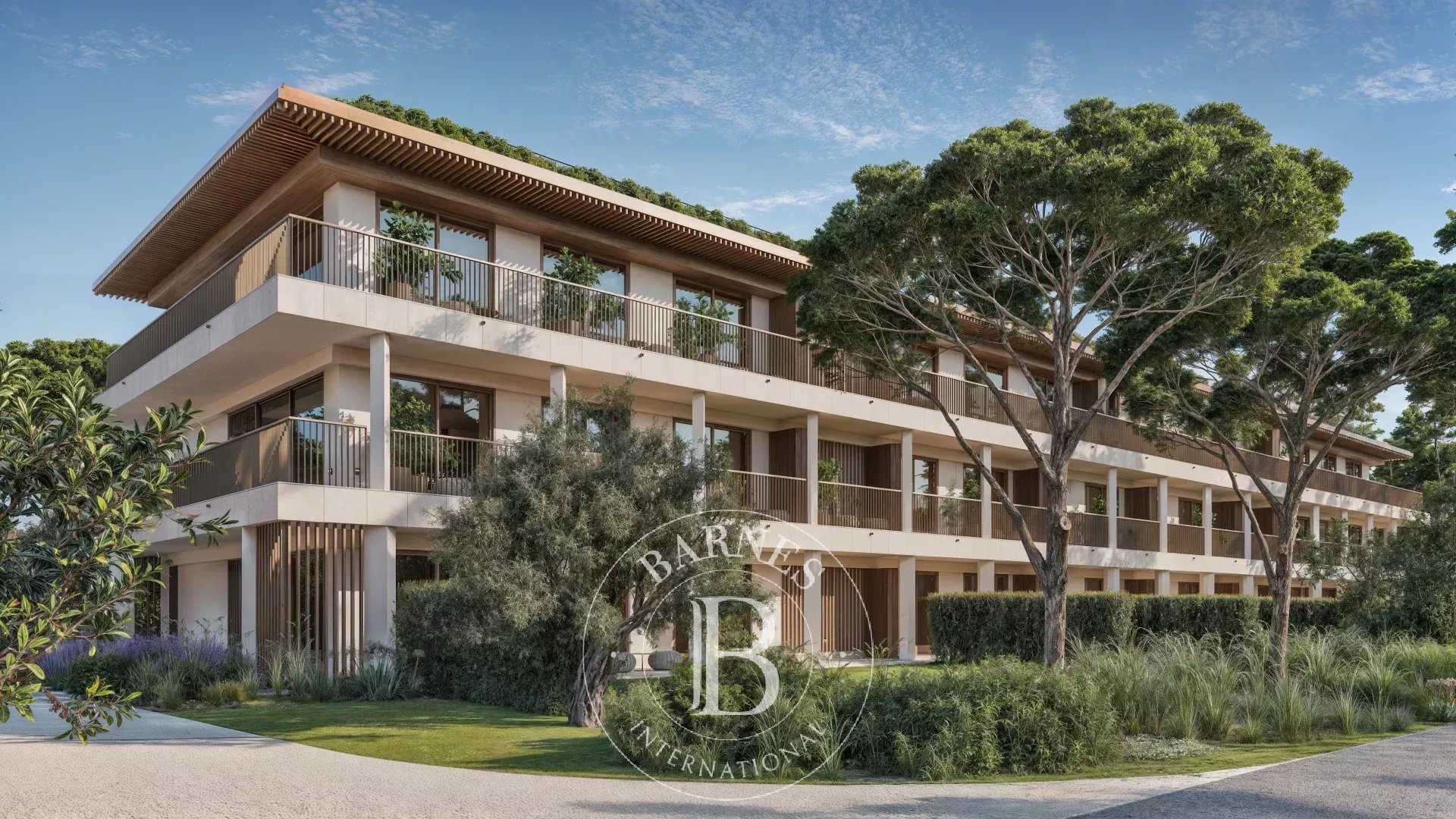 Carvalhal  - Apartment 2 Bedrooms