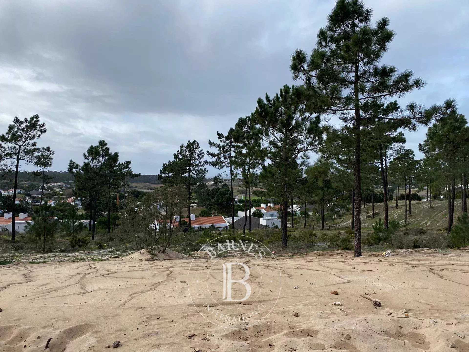 Carvalhal  - Terrain 