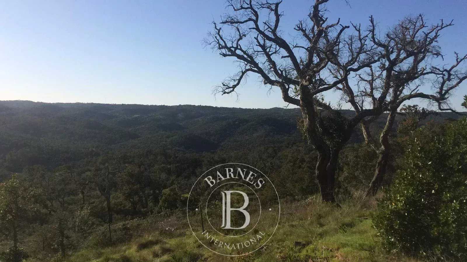 Grândola e Santa Margarida da Serra  - Terrain 