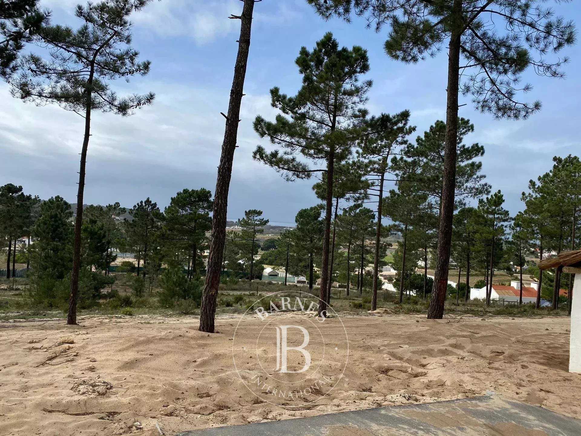 Carvalhal  - Terrain 