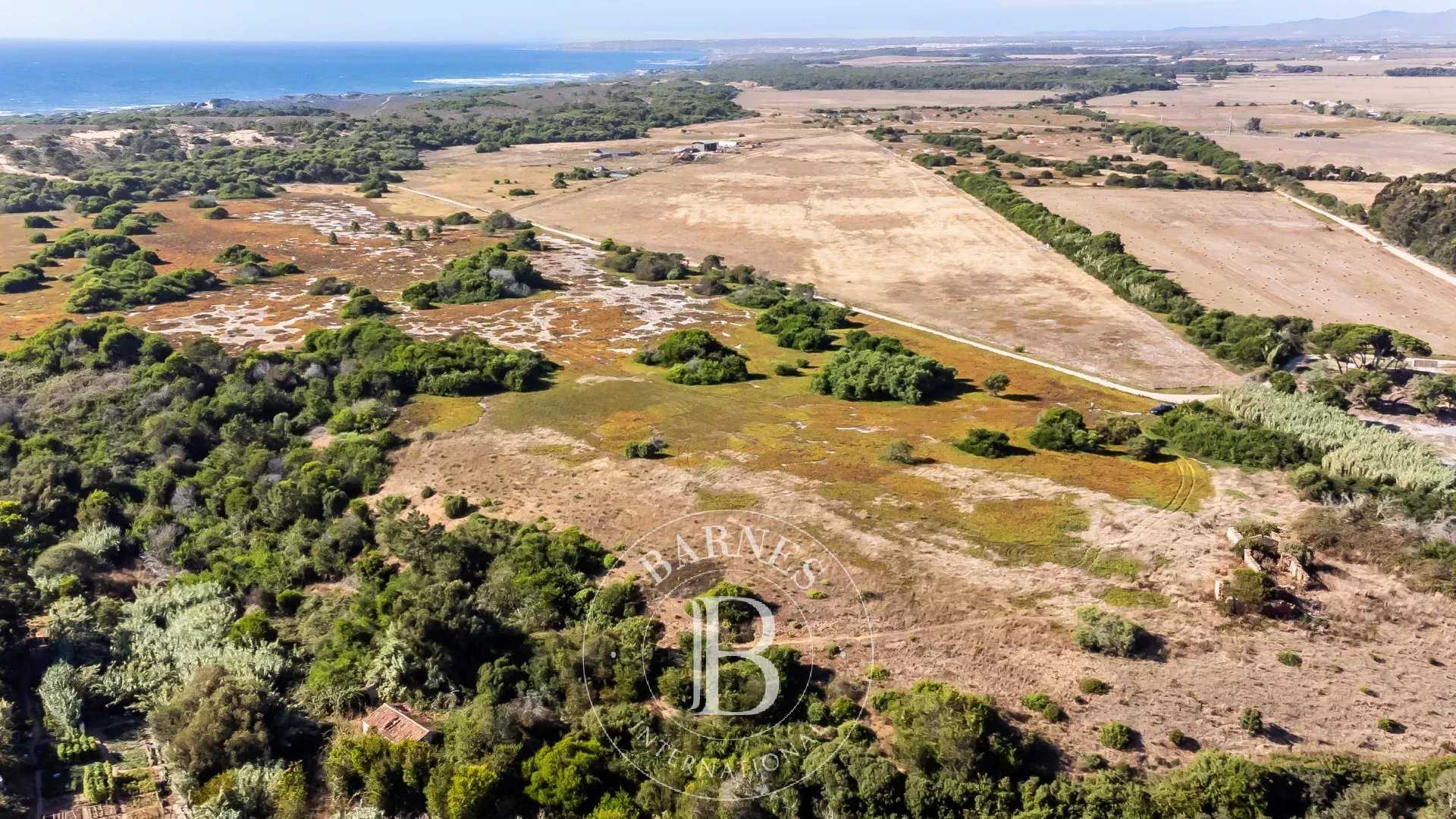 Longueira/Almograve  - Terreno 