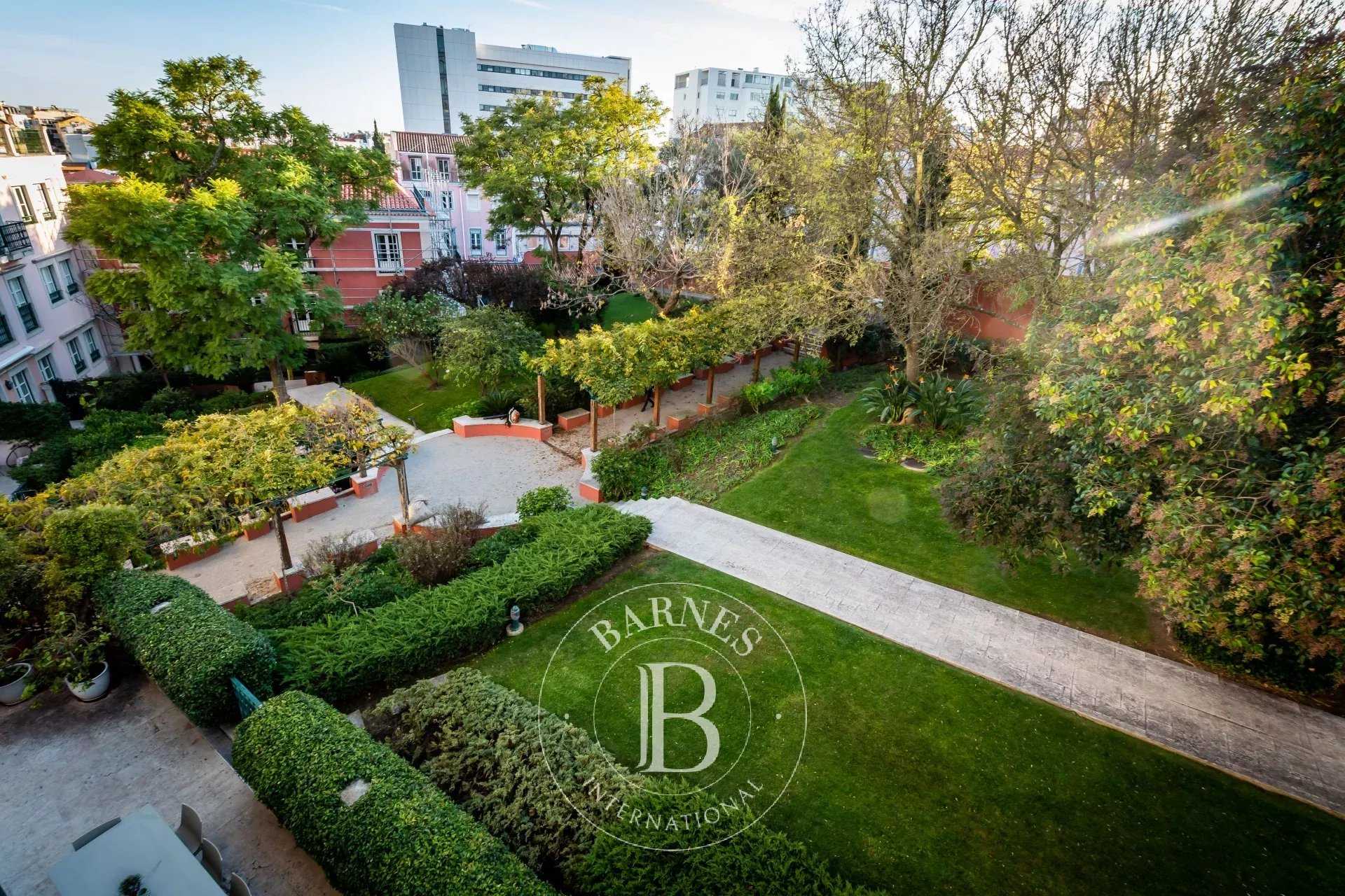 Estrela  - Apartment 3 Bedrooms