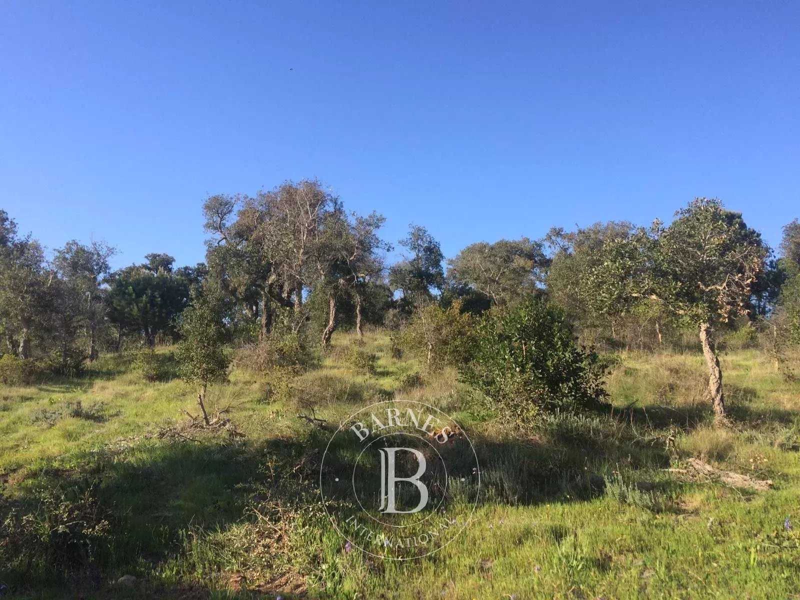 Grândola e Santa Margarida da Serra  - Terrain 