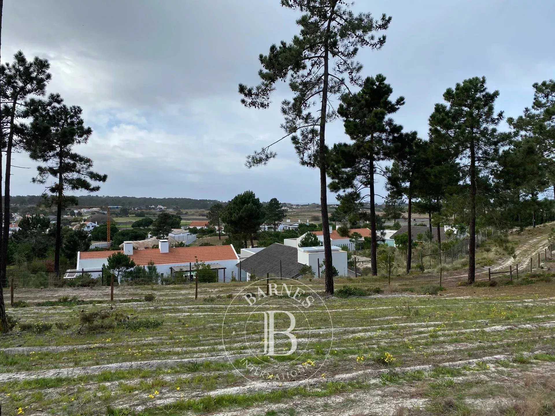 Terrain Carvalhal  -  ref 84729200 (picture 1)