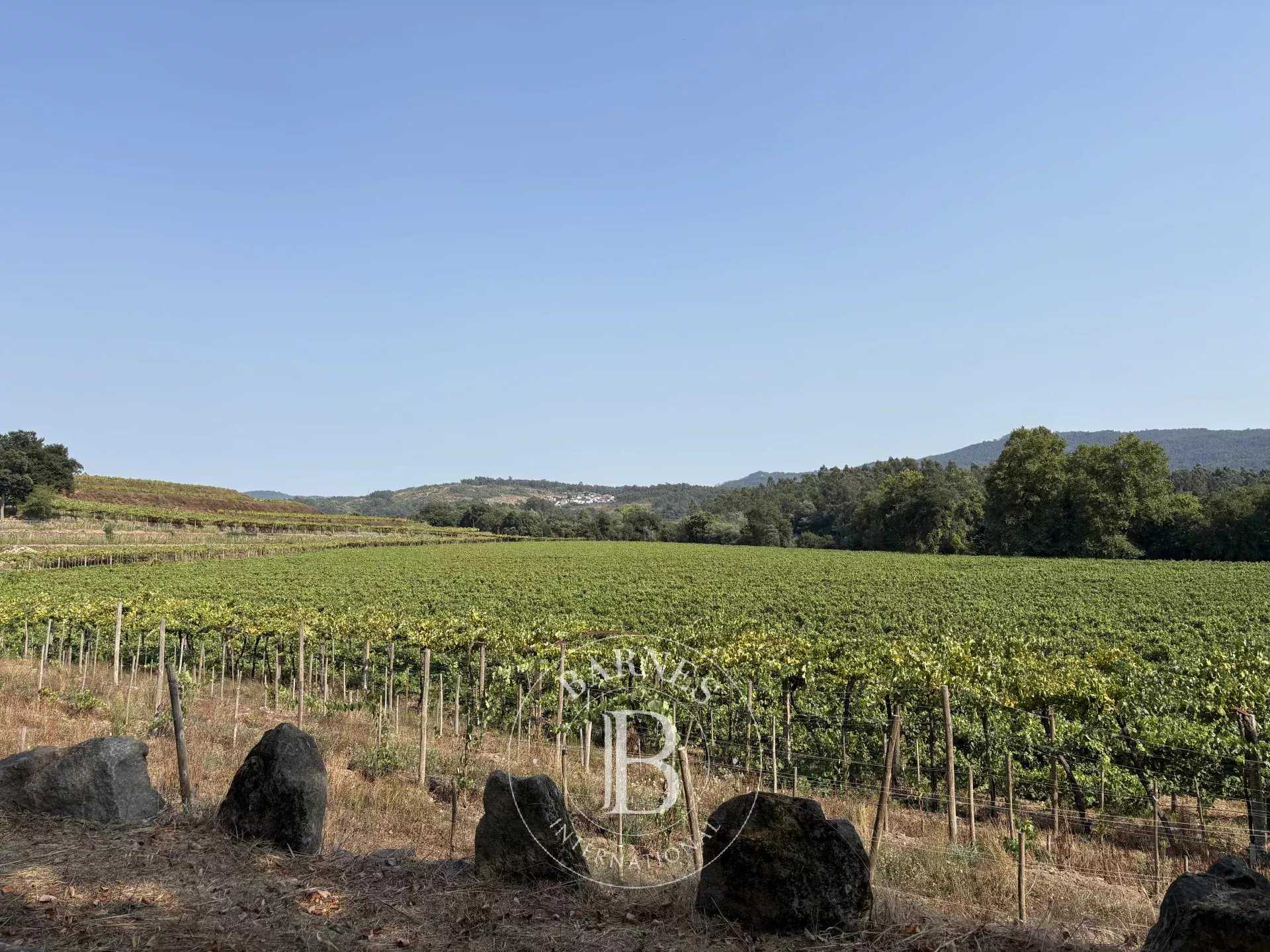 Farm Manhente  -  ref 86337311 (picture 3)