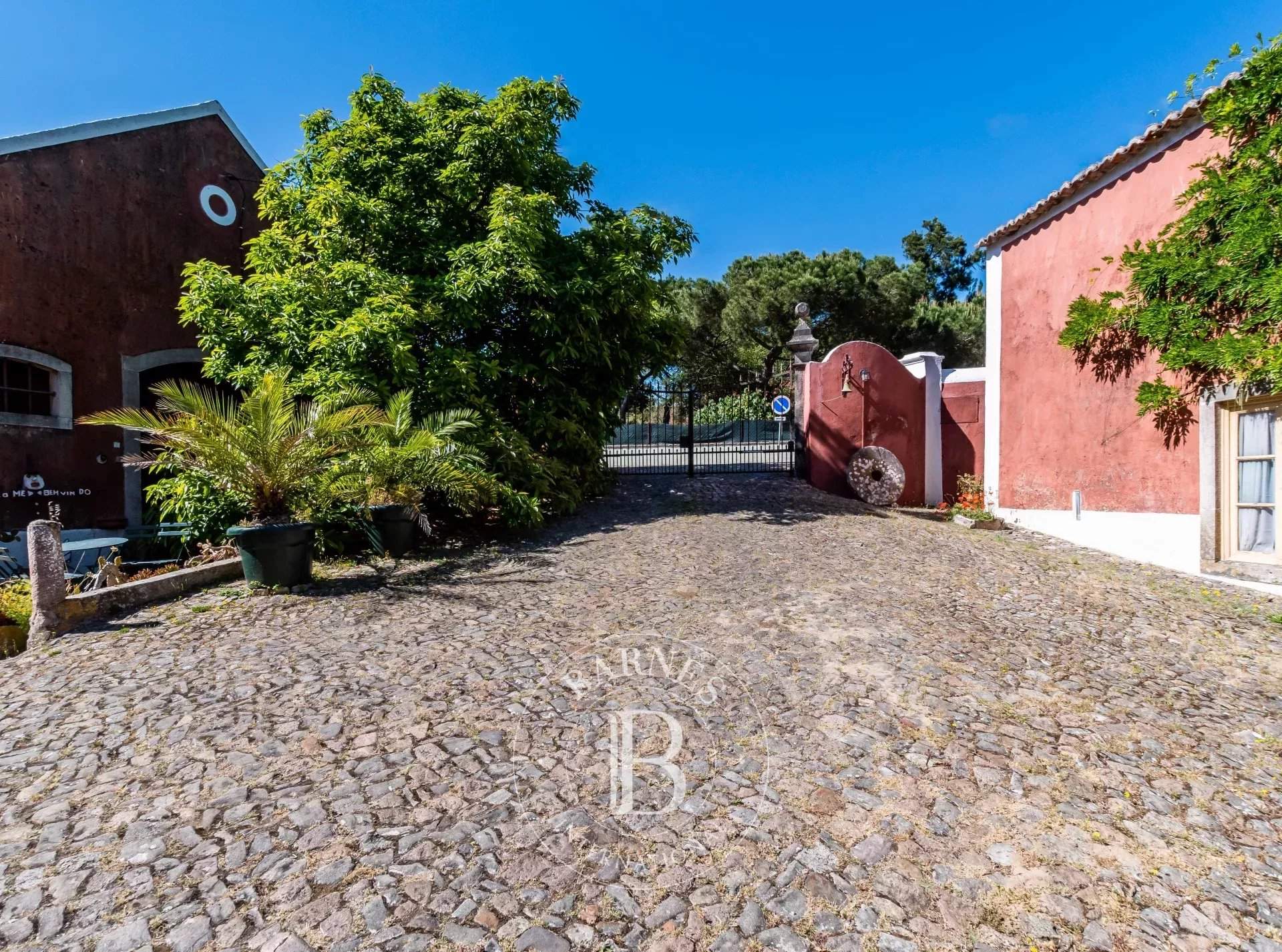   - Farm  - picture 13