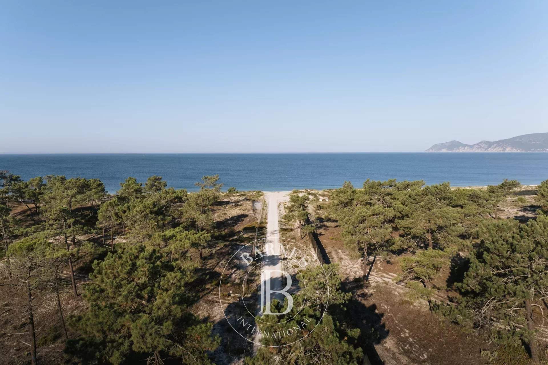 Carvalhal  - Maison  - picture 10