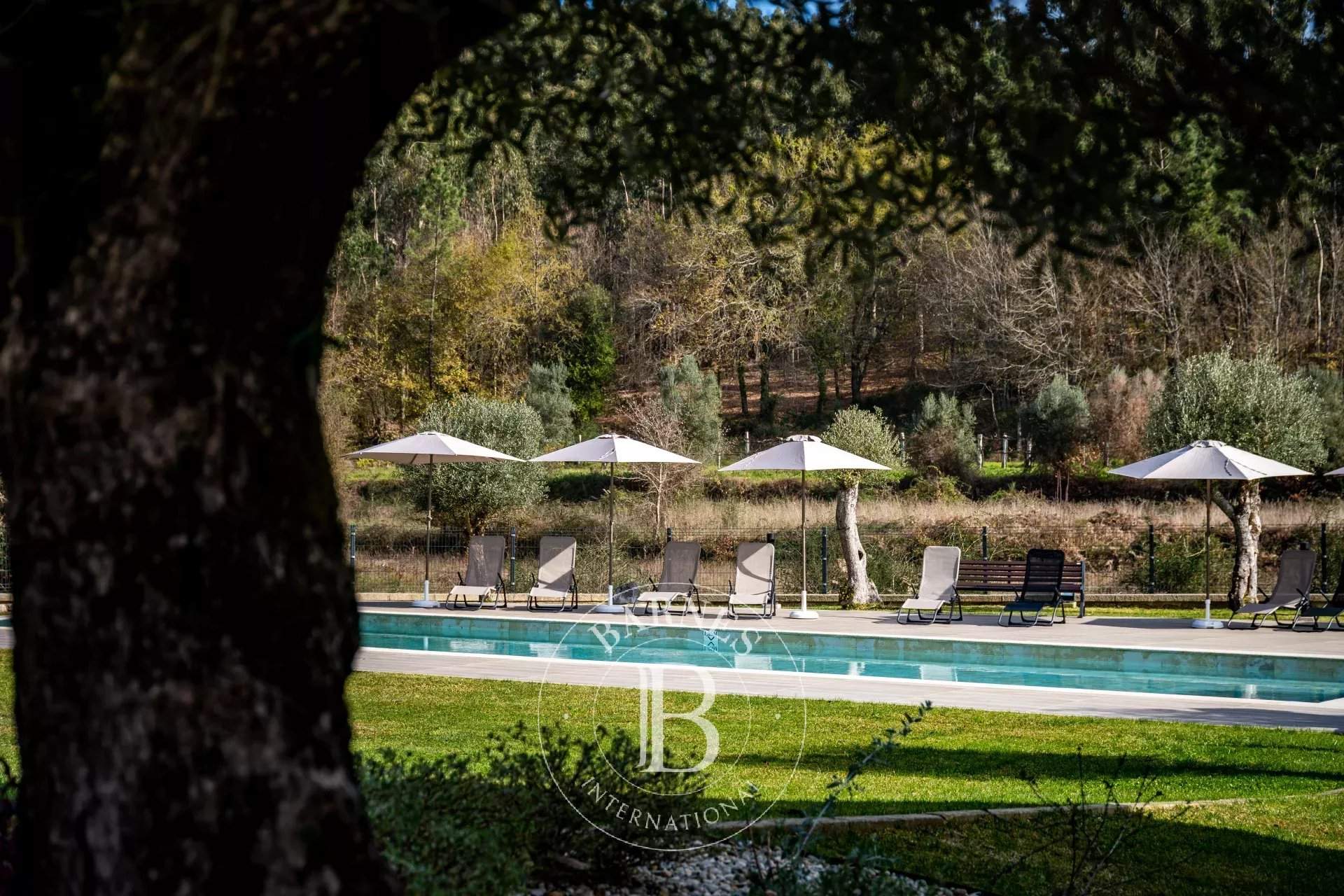 Arca e Ponte de Lima  - Farm 8 Bedrooms - picture 16