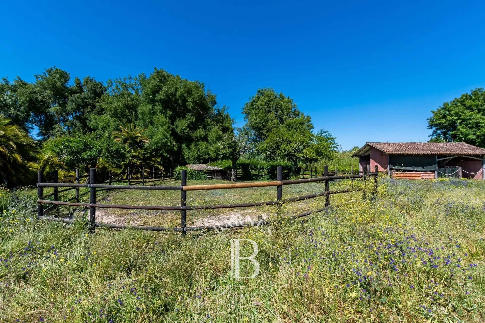   - Farm  - picture 20